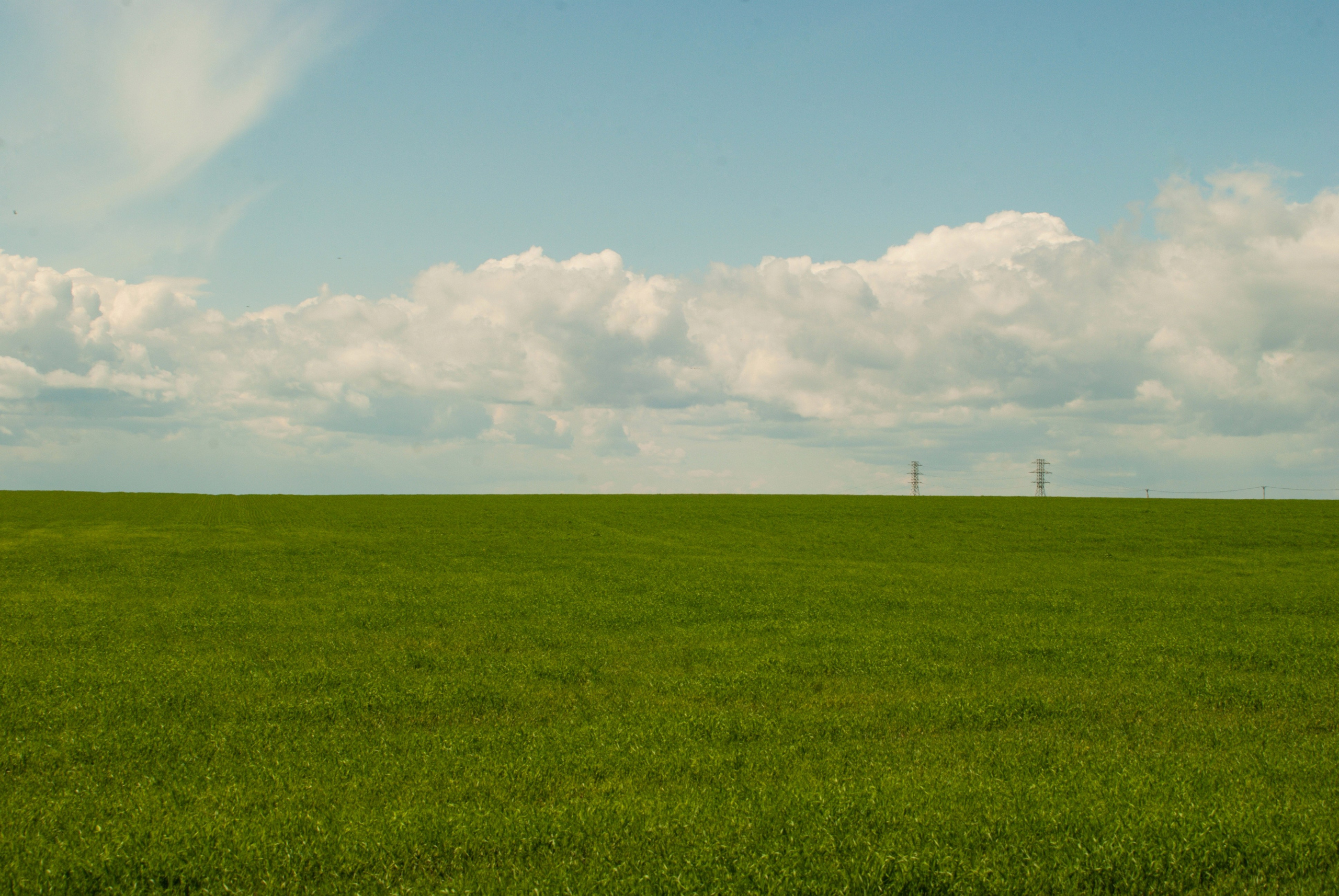 Этот прекрасный мир