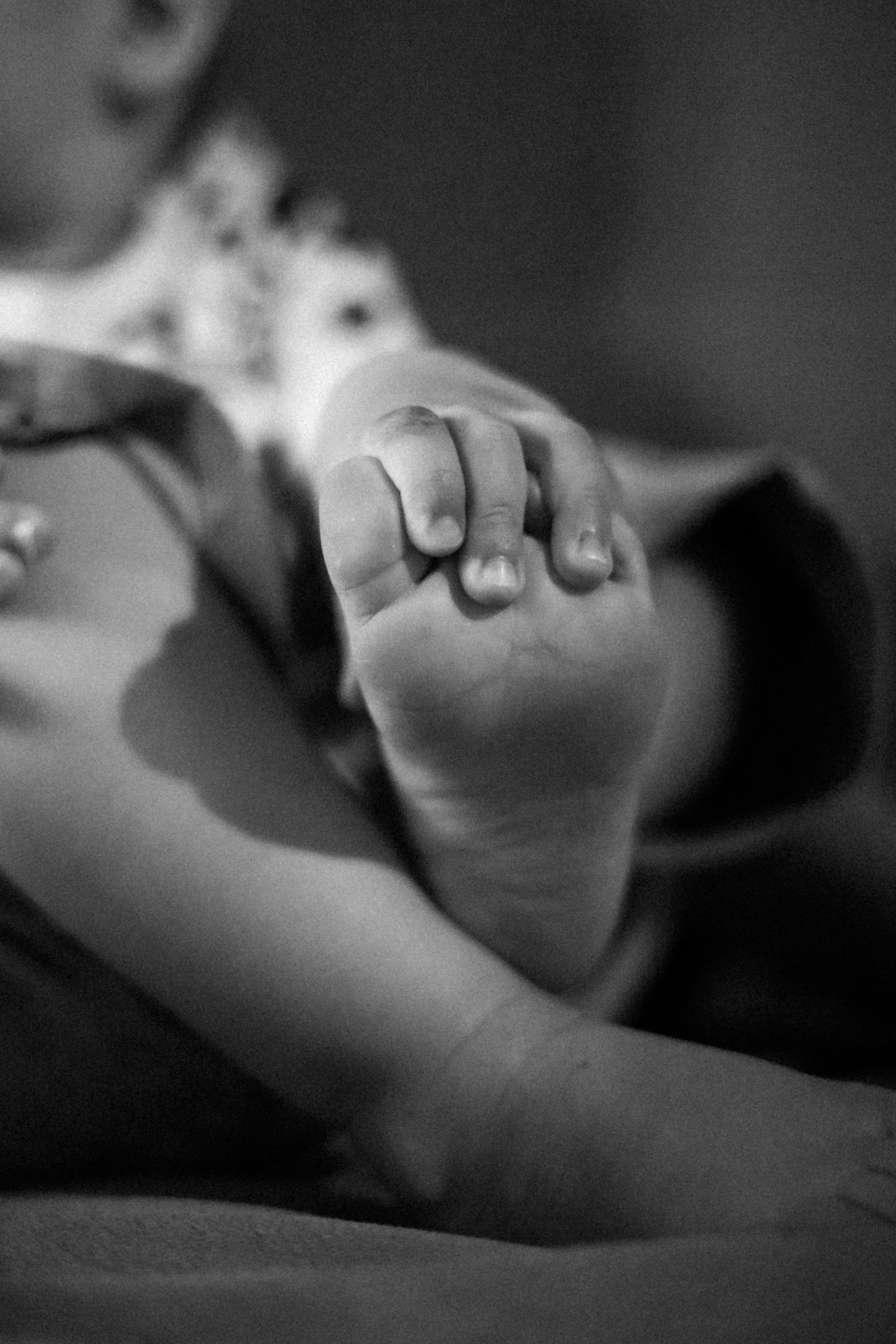 Домашняя. Фотограф Оксана Пономарева