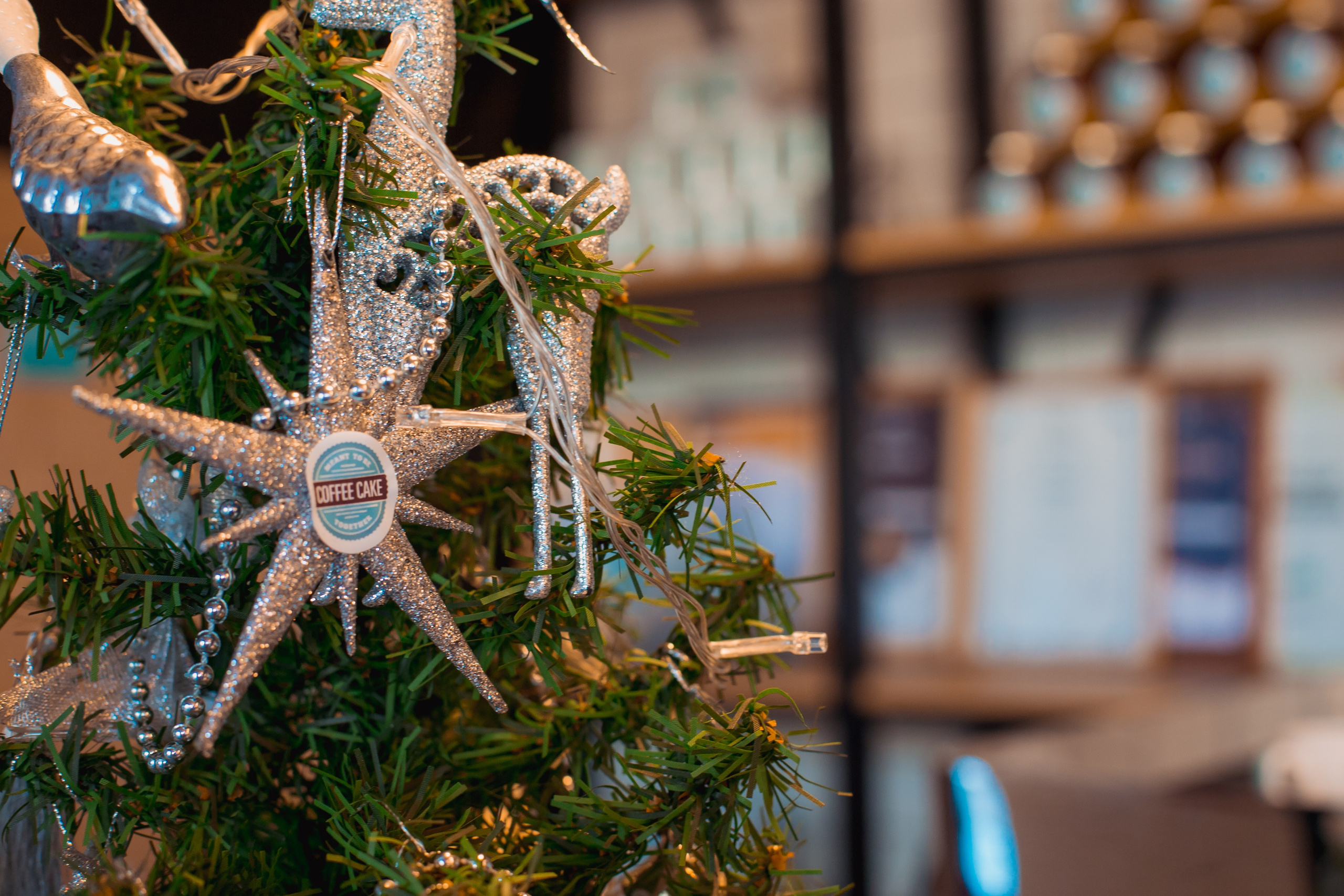 Coffe Cake на полевой. Фотограф в Самаре Максим Тырин