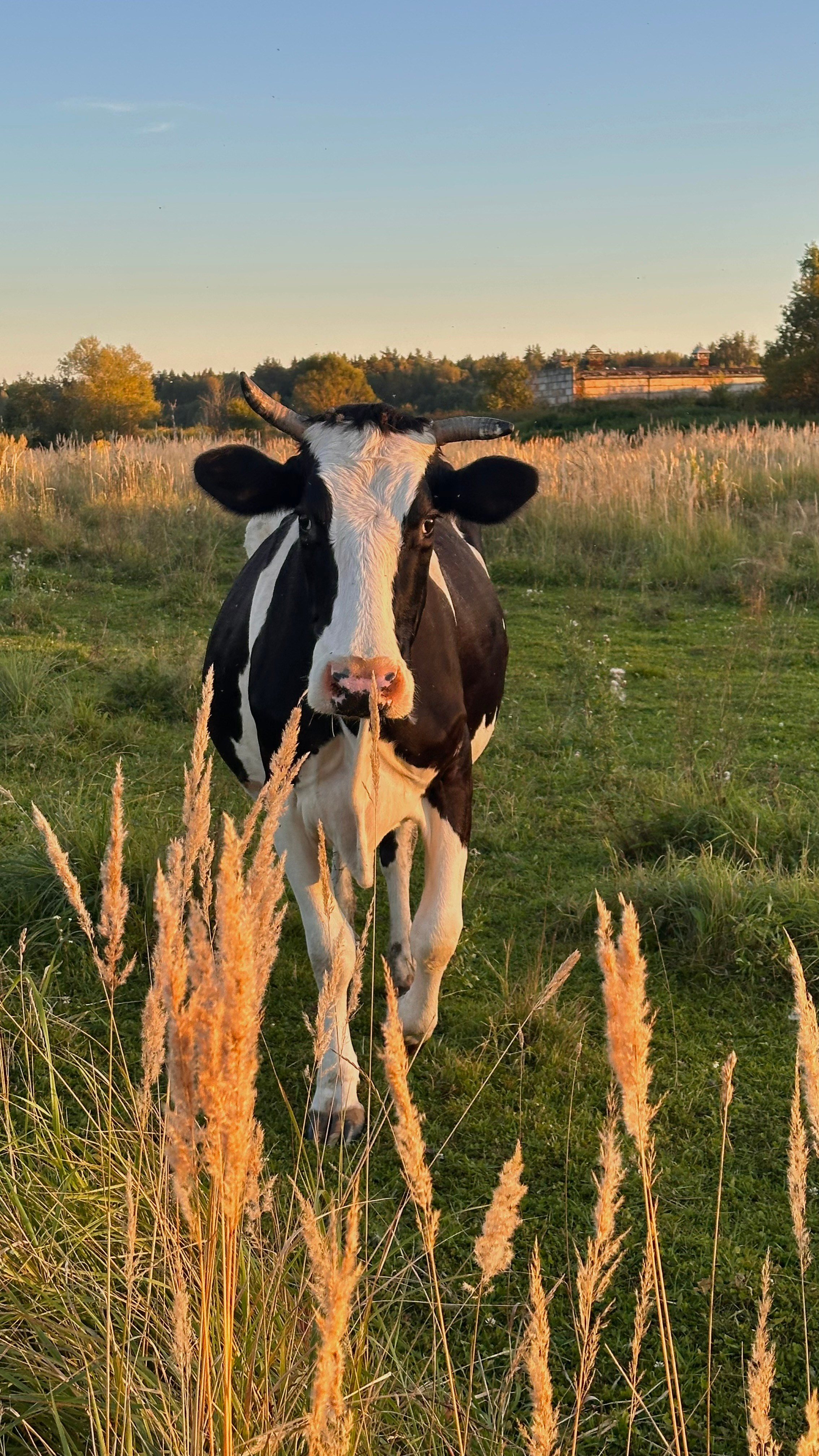 EXHIBITION. Репортажный и интерьерный фотограф, фотохудожник