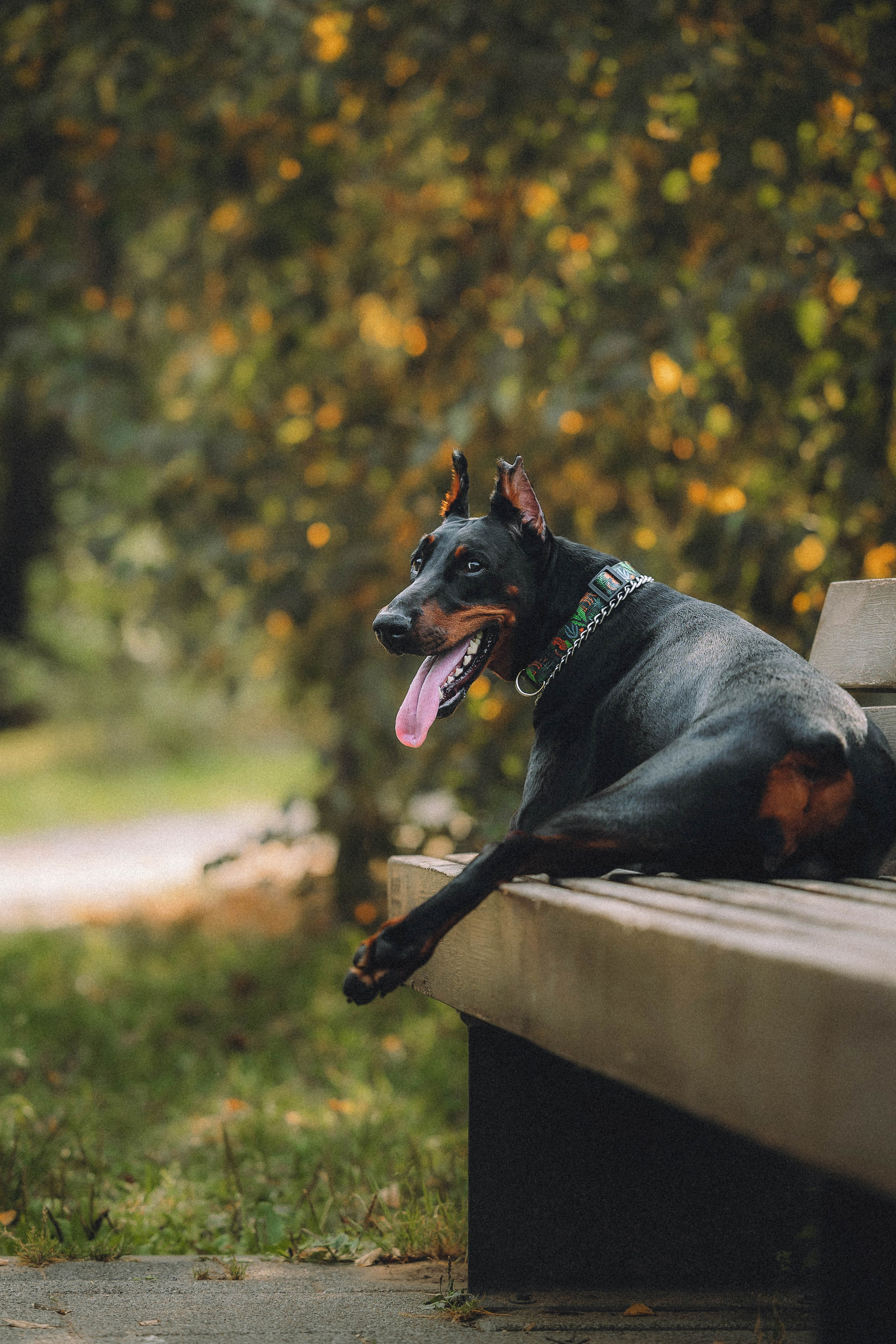 Паша и Хайди