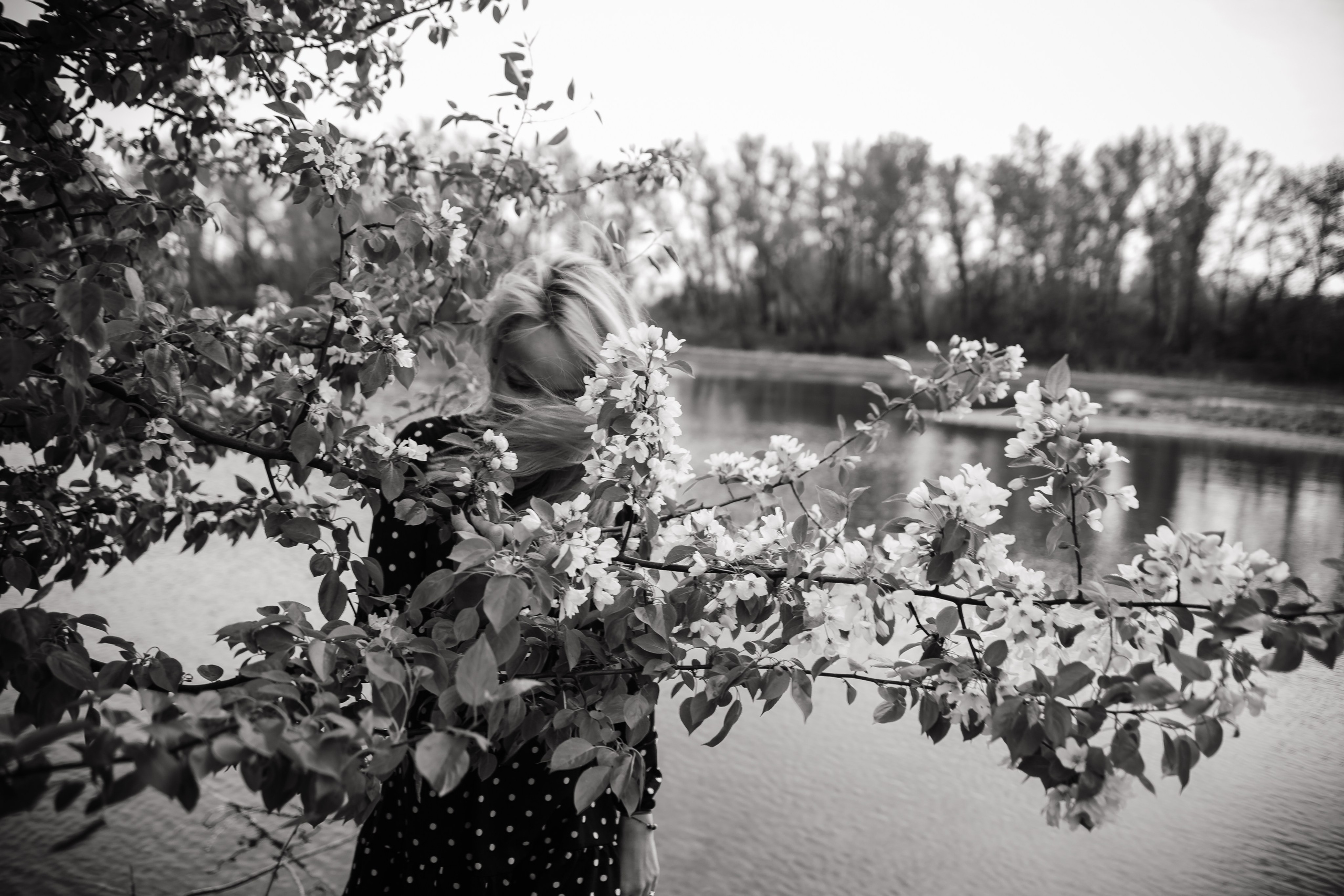 Яблони. Фотограф в Абакане Николай Окунев