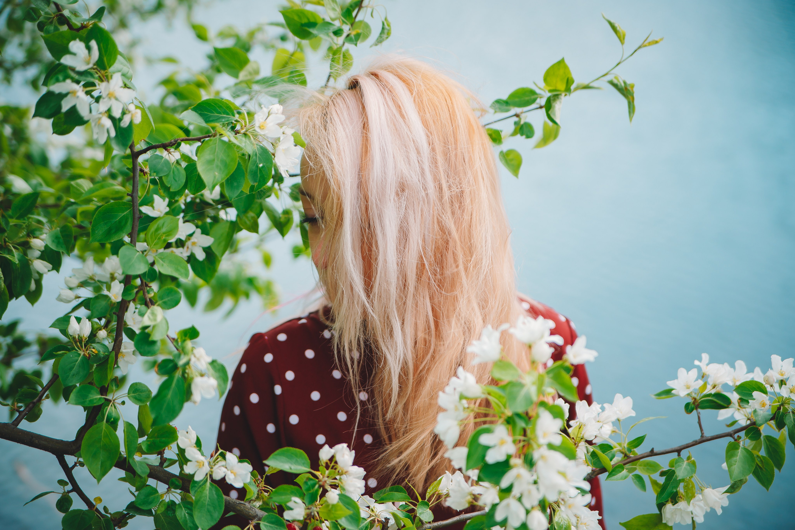Яблони. Фотограф в Абакане Николай Окунев