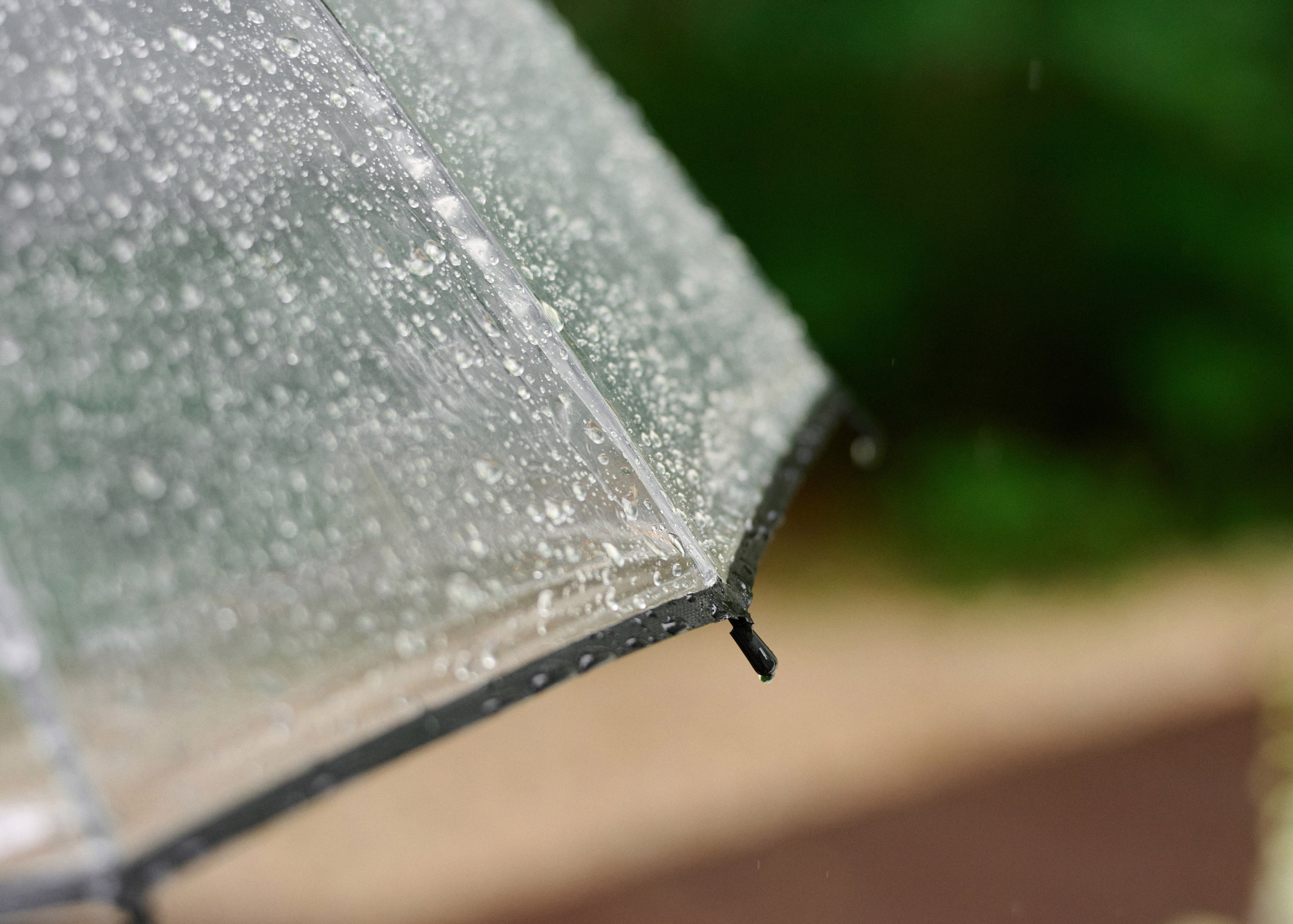 Максим & Елена. Оформление свадеб, декор свадеб Вера Маркова, Москва