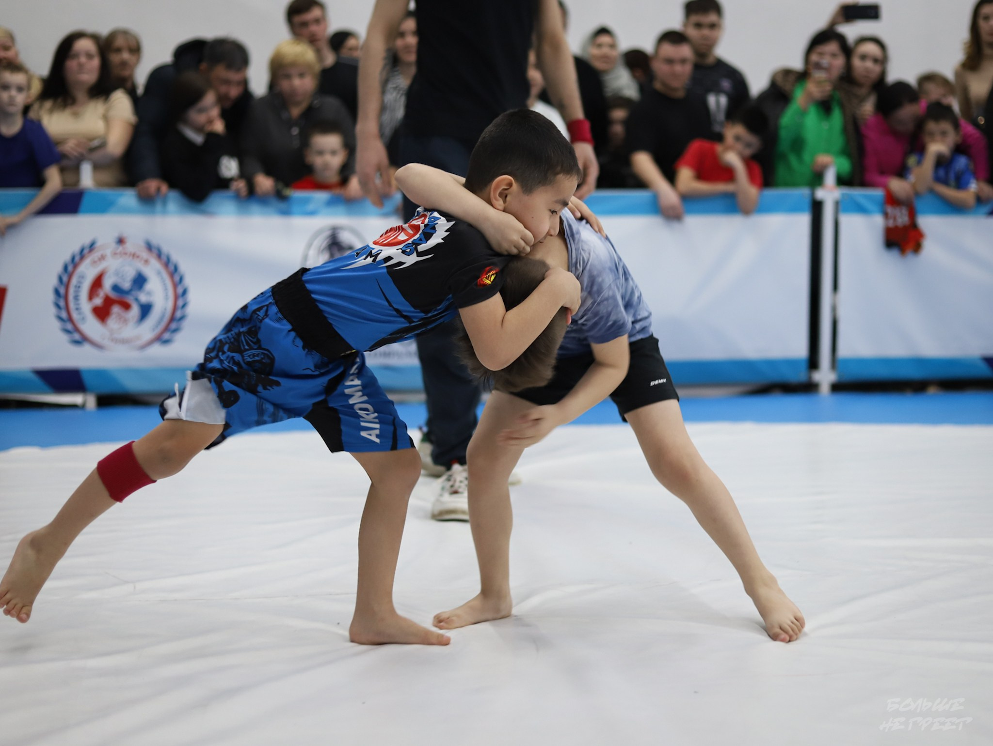 GORILLA PRIDE CUP. Больше не греет