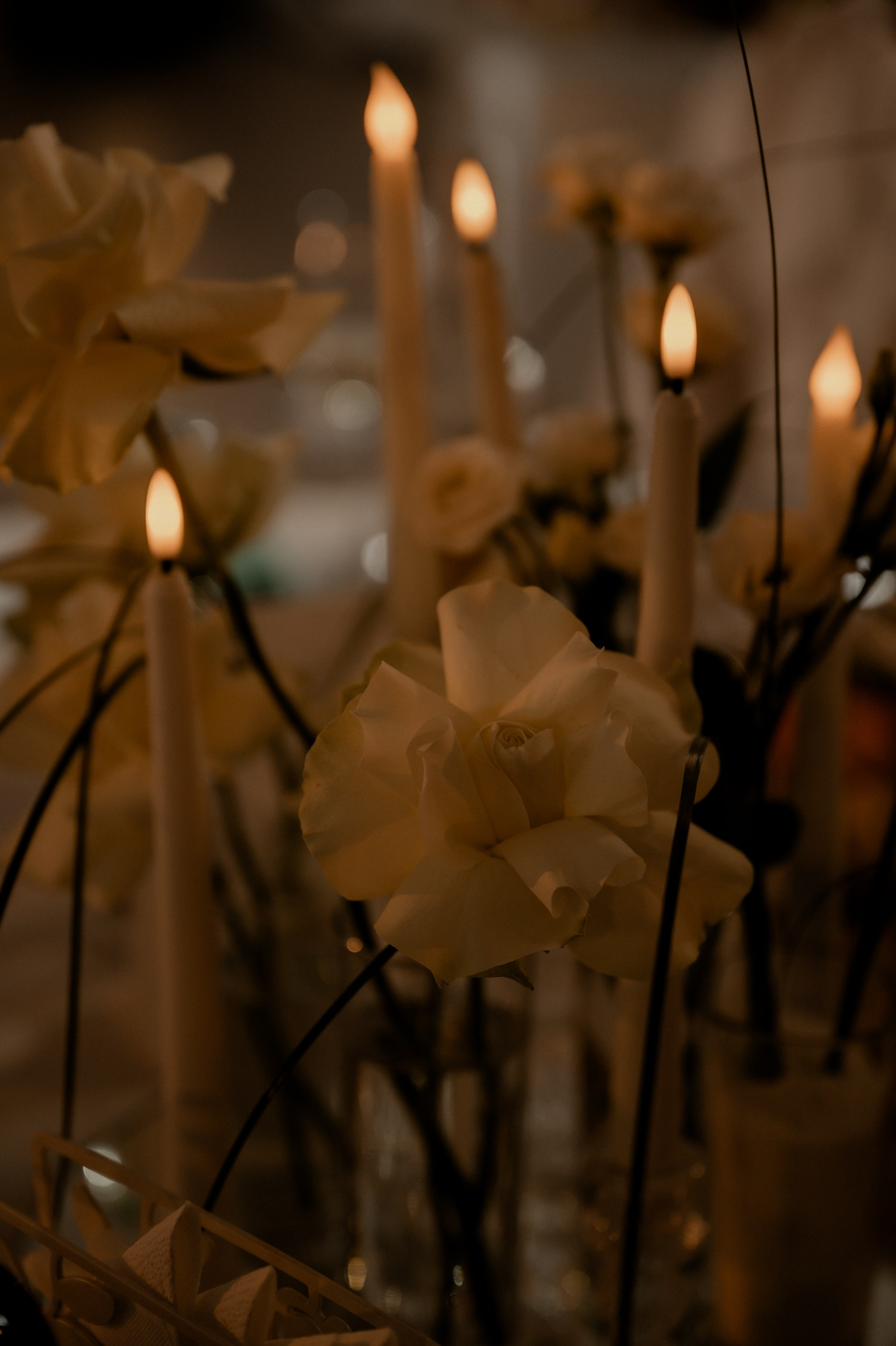 Юрий и Дарья. Фотограф Анна Пятак