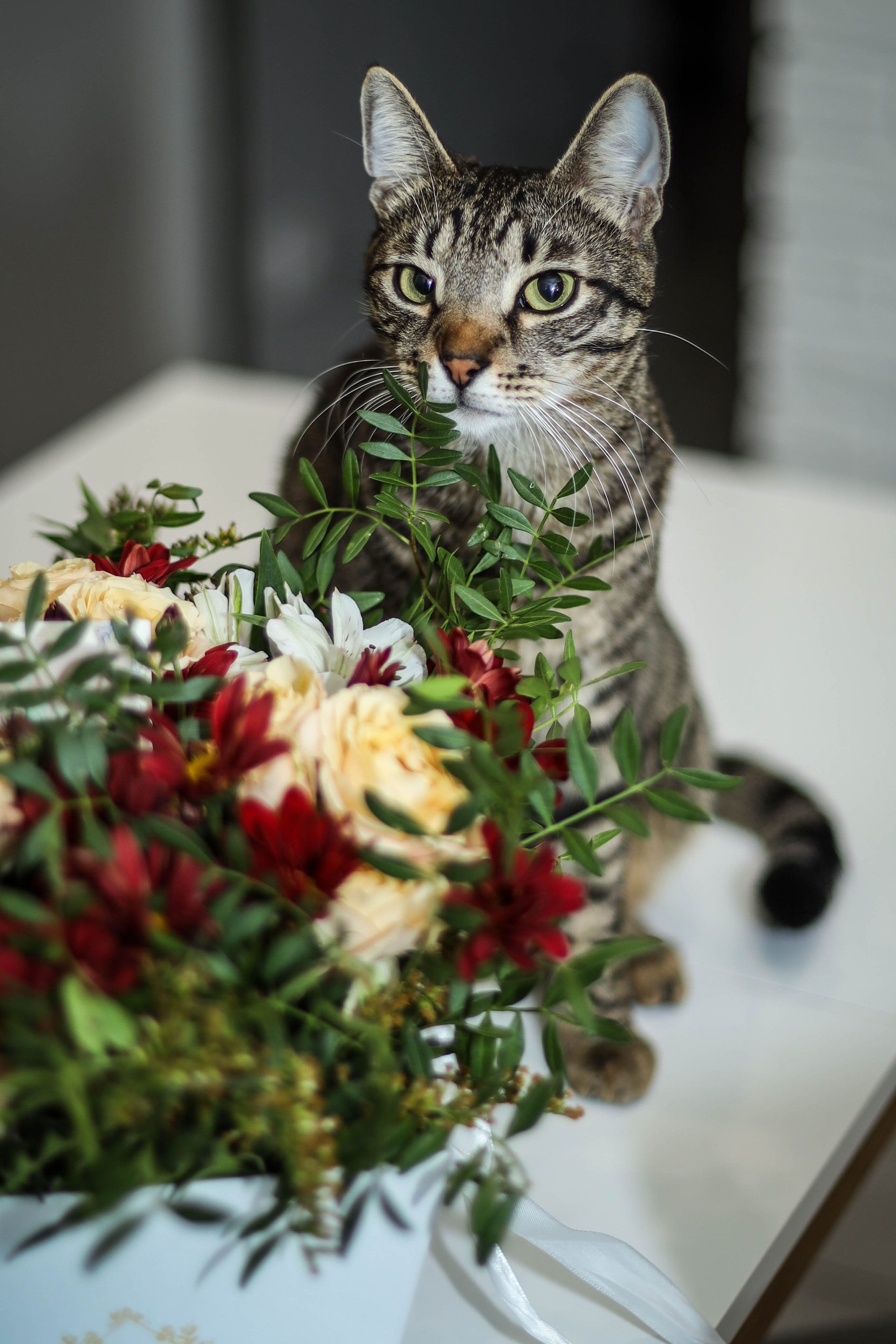 Нежность. Семейный, детский, свадебный фотограф в Москве, Люберцах