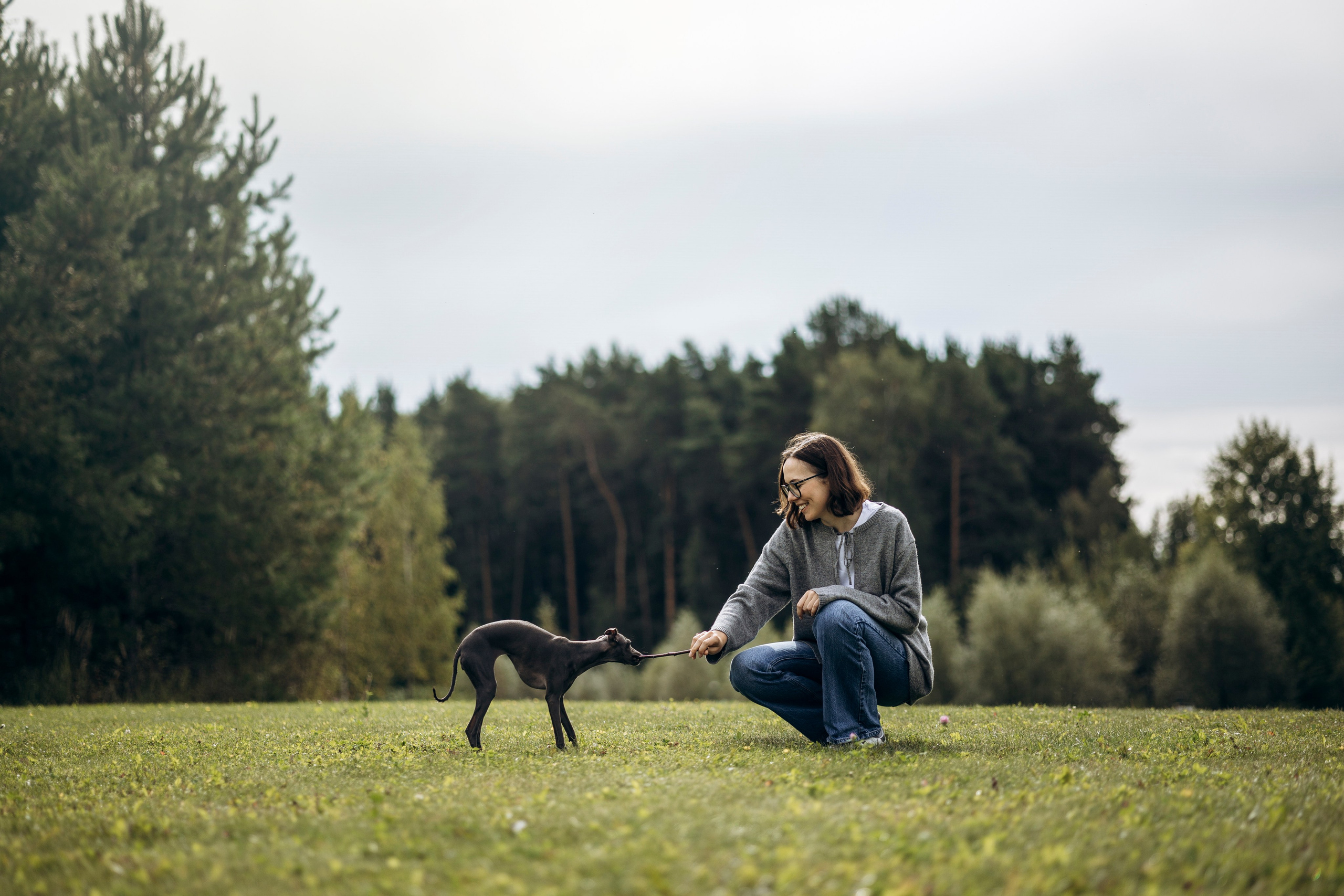 Лучик и ее семья. Фотограф — Анималист | Санкт-Петербург