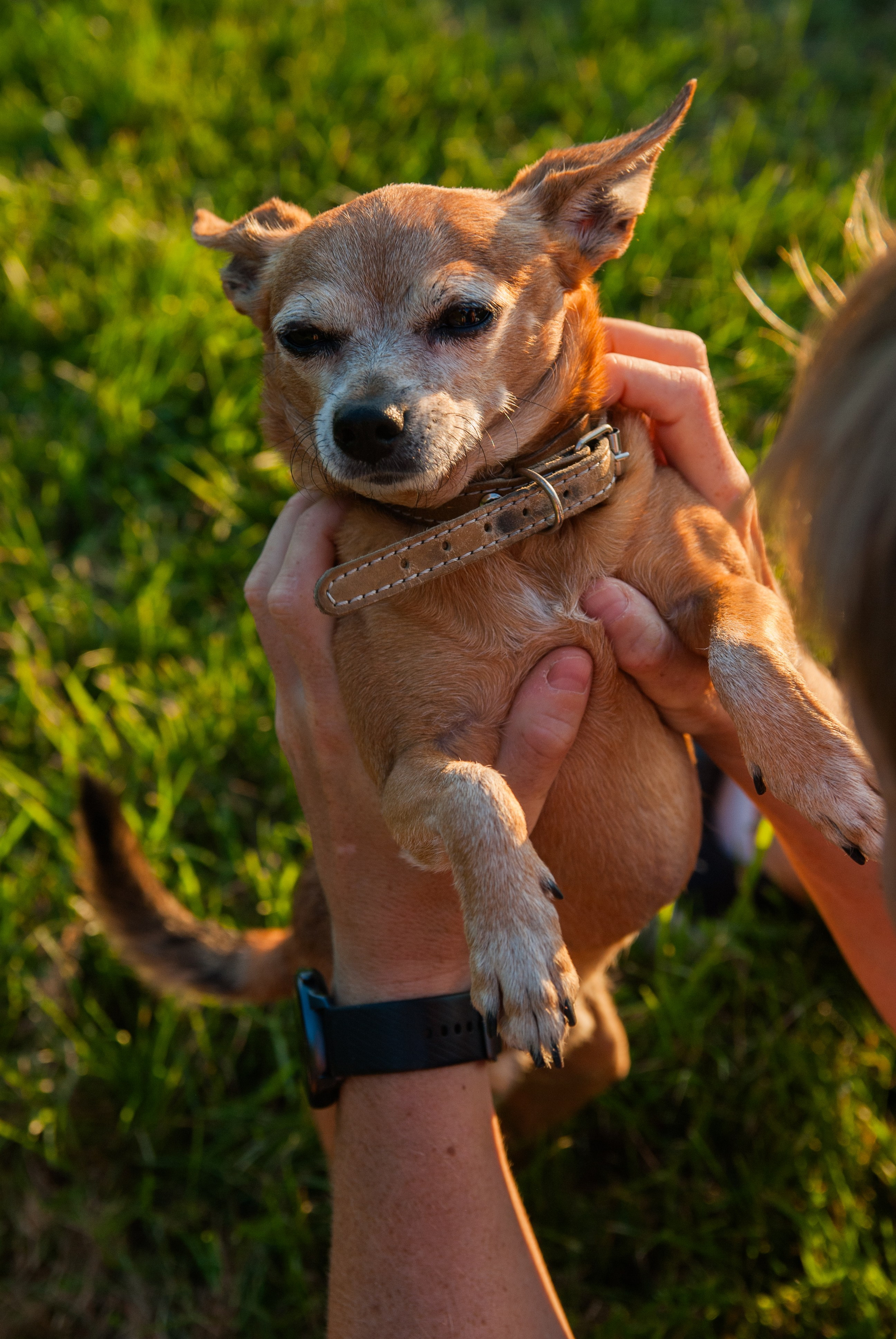 Зоопарк в моём багаже. Кошенкова Мария: портретный и репортажный фотограф. Санкт-Петербург