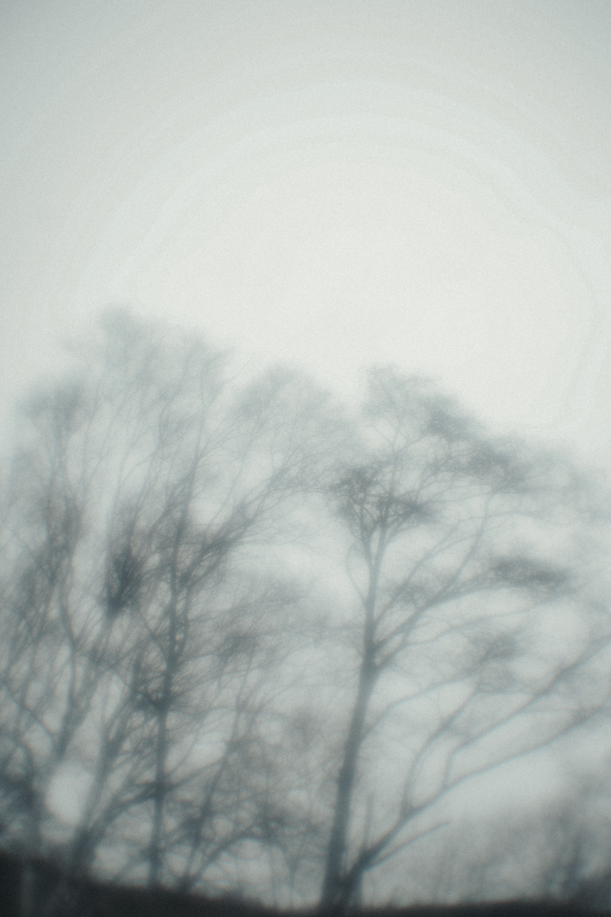 Пикториальный альбом. Семейный LIFESTYLE фотограф в Москве