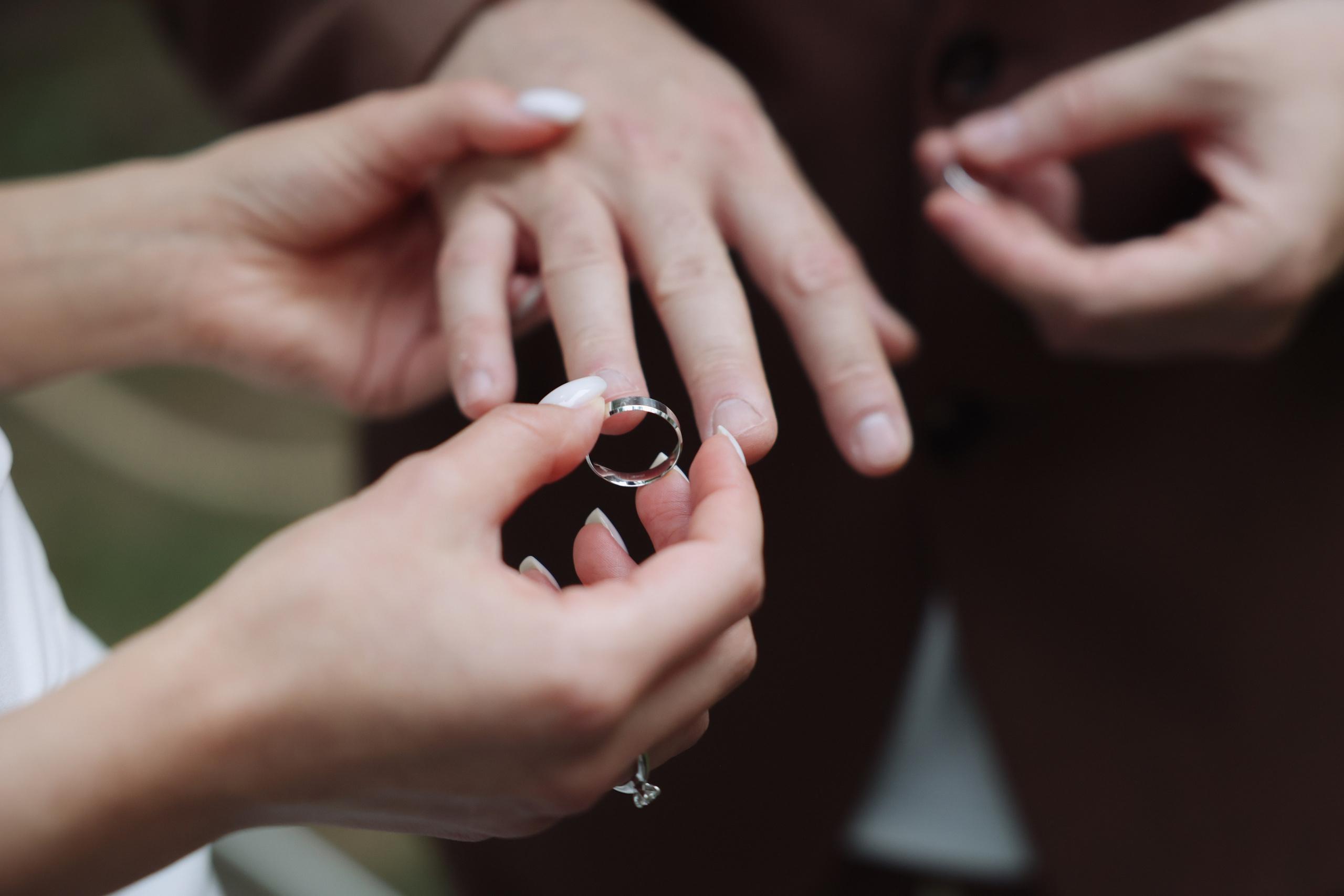 Lesnoi-bereg. Главная