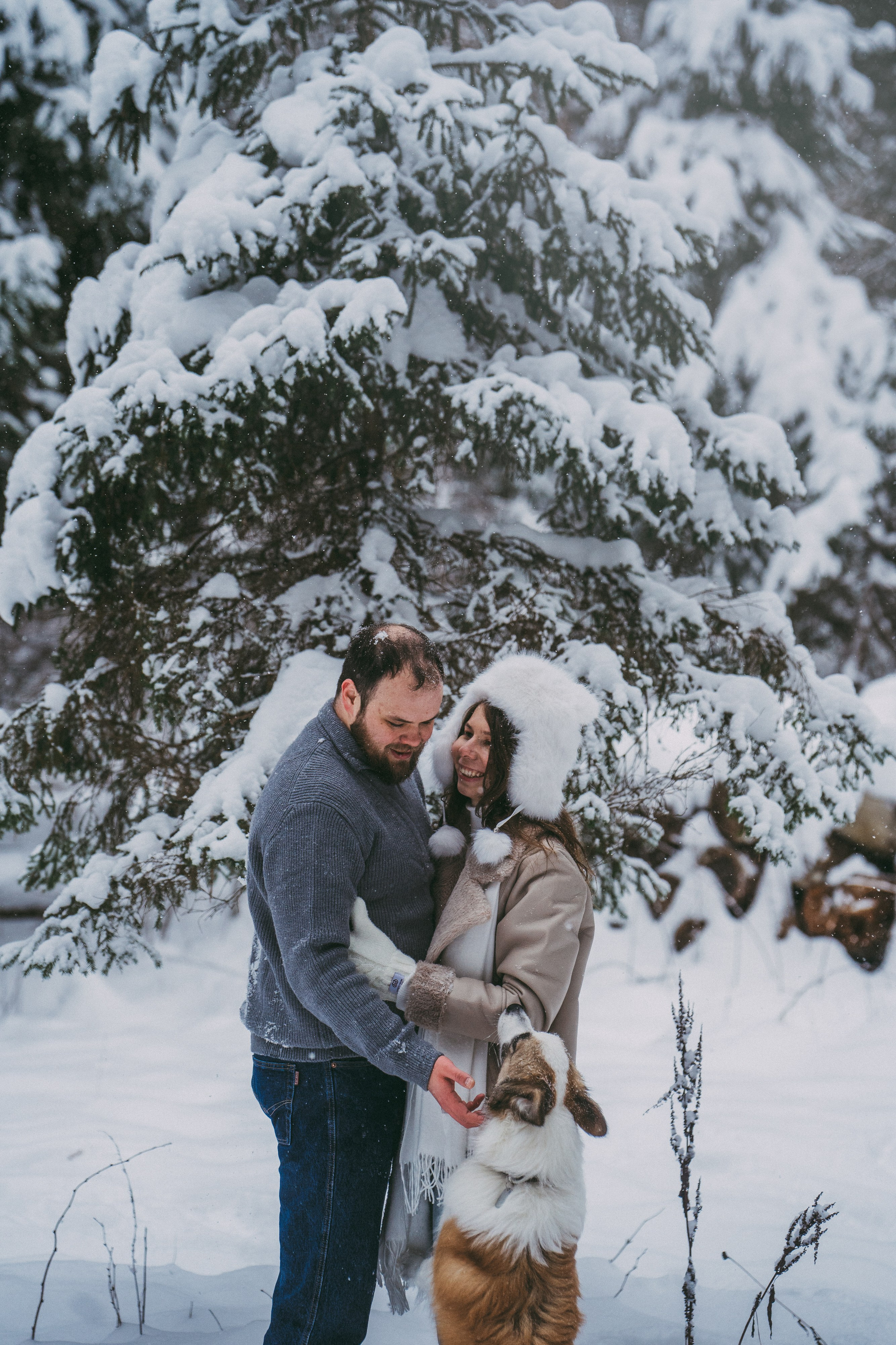 Катя, Анатолий и Елай. Фотограф анималист в Москве и Санкт-Петербурге Свиридова Анна