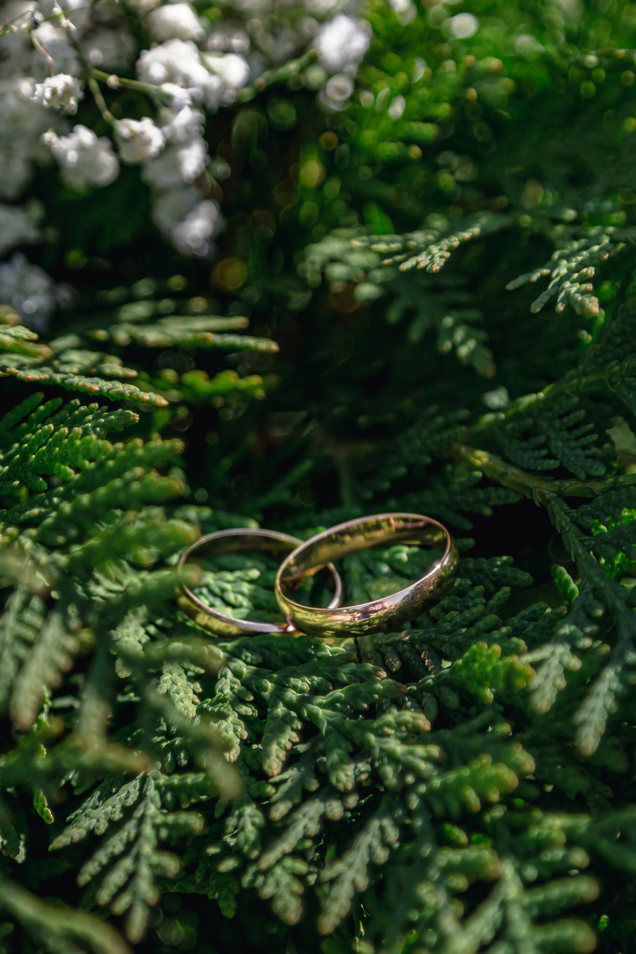 Свадьба Максима и Дарьи. Фотосессии, Семейный, свадебный фотограф в Самаре