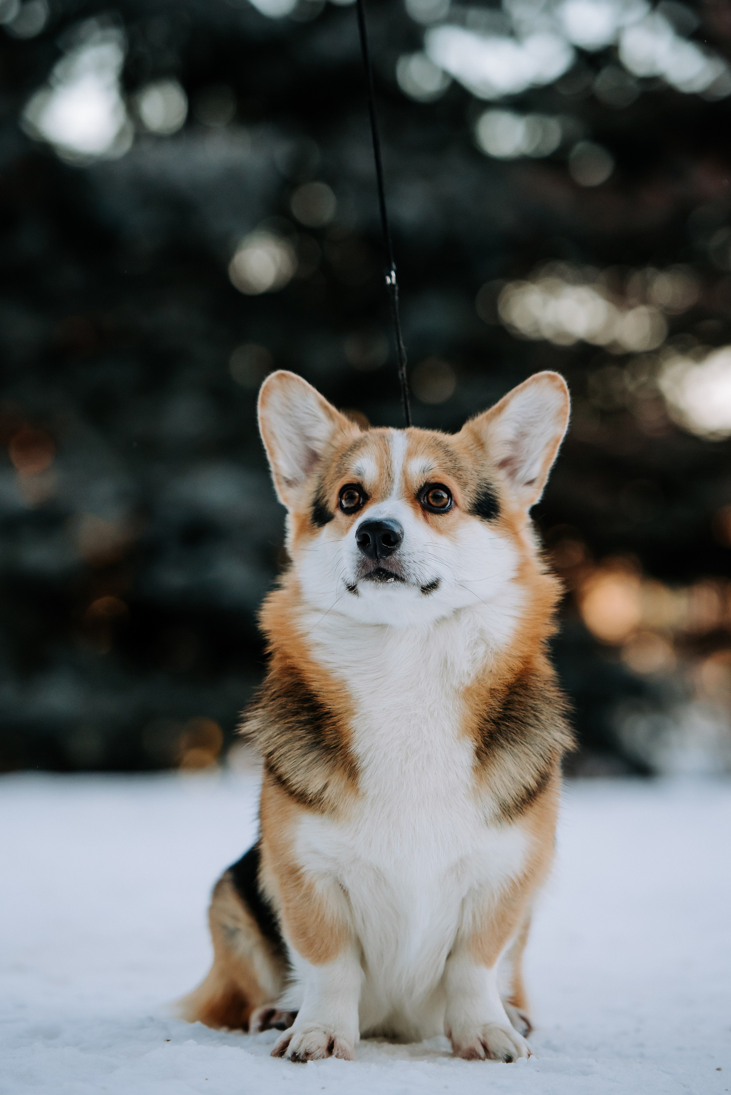 С выставок. Фотограф Диана Оленина Красноярск / Братск