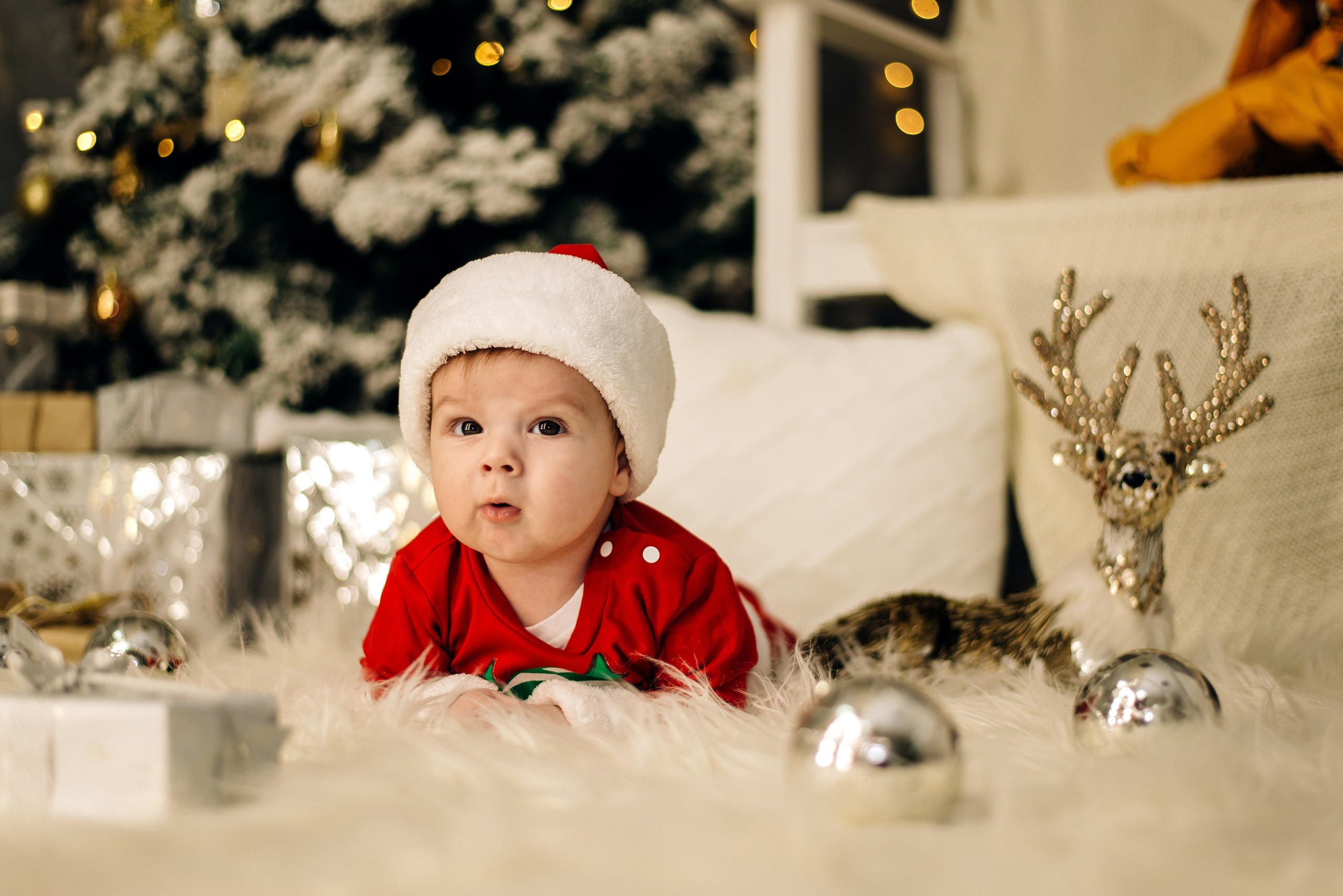 Залевские. Фотограф — МАРИЯ МЕДВЕДЕВА