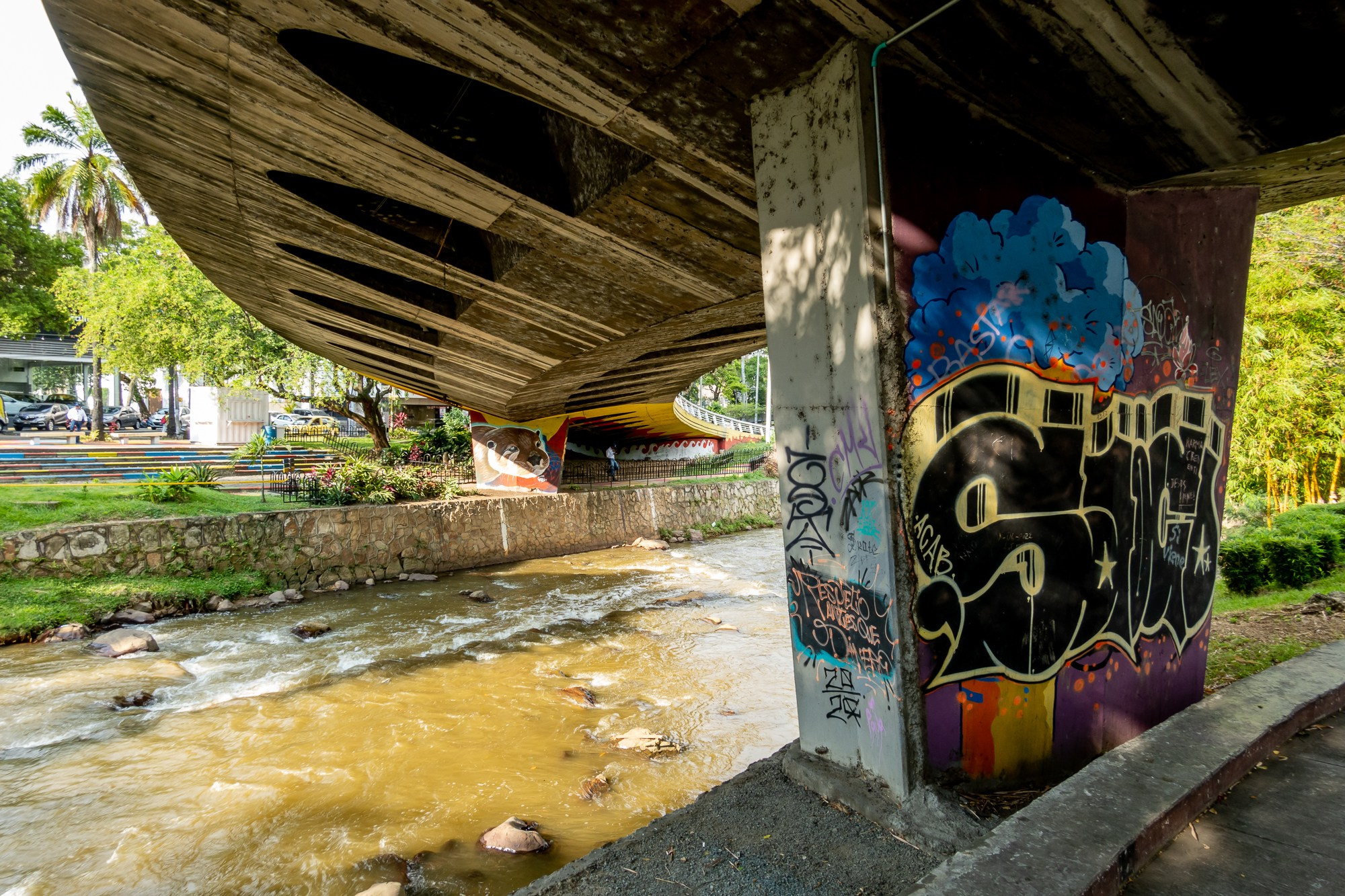 Фотограф Алексей Скоробогатько. Колумбия, г. Кали. Photographer Alexey Skorobogatko. Cali, Colombia. Фотограф Алексей Скоробогатько