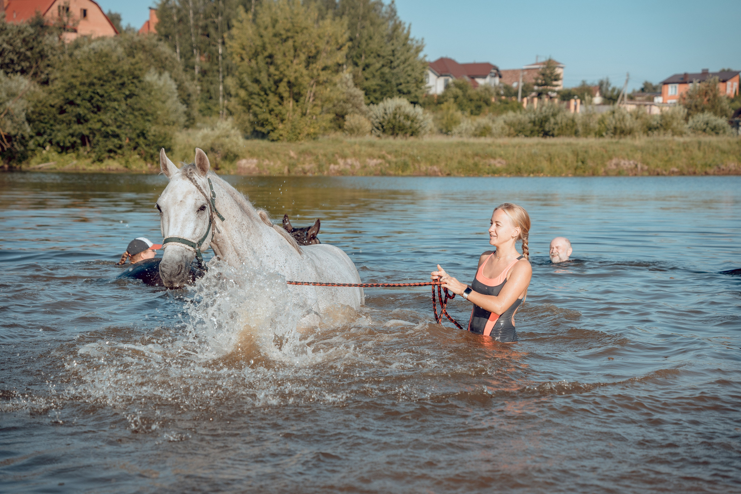 Купание лошадей 05.07.2024. Портретный и семейный фотограф в Москве/Видное