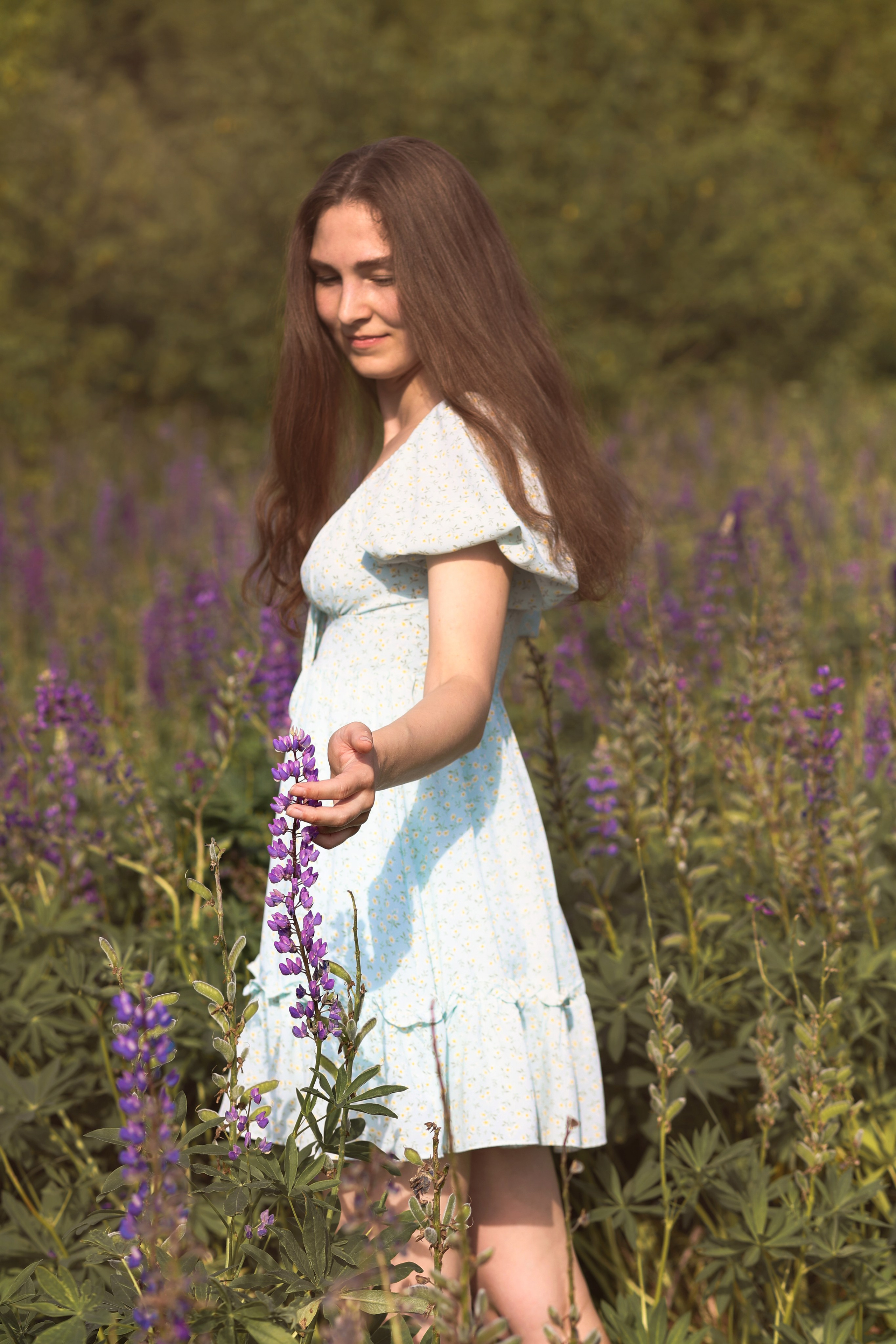 Люпины 2024. Свадебный и семейный фотограф в Рязани Анастасия