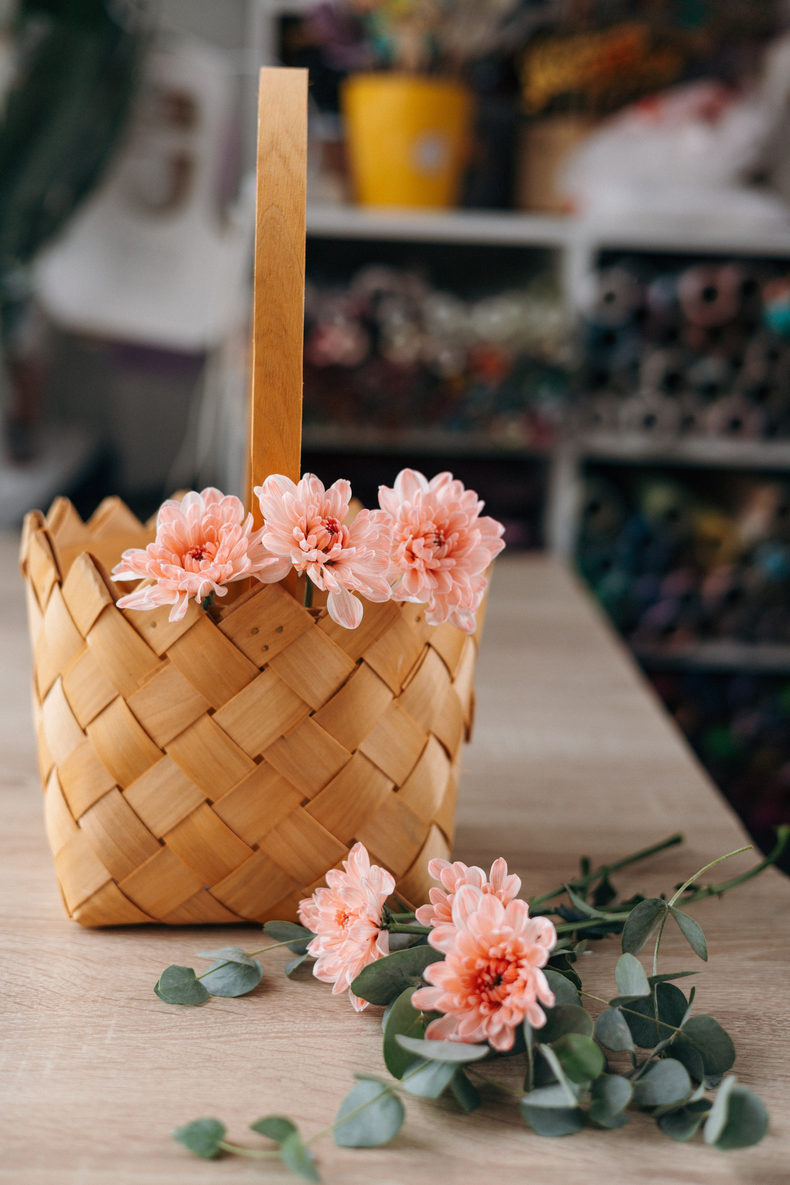 Кейс магазин цветов. Ваш фотограф