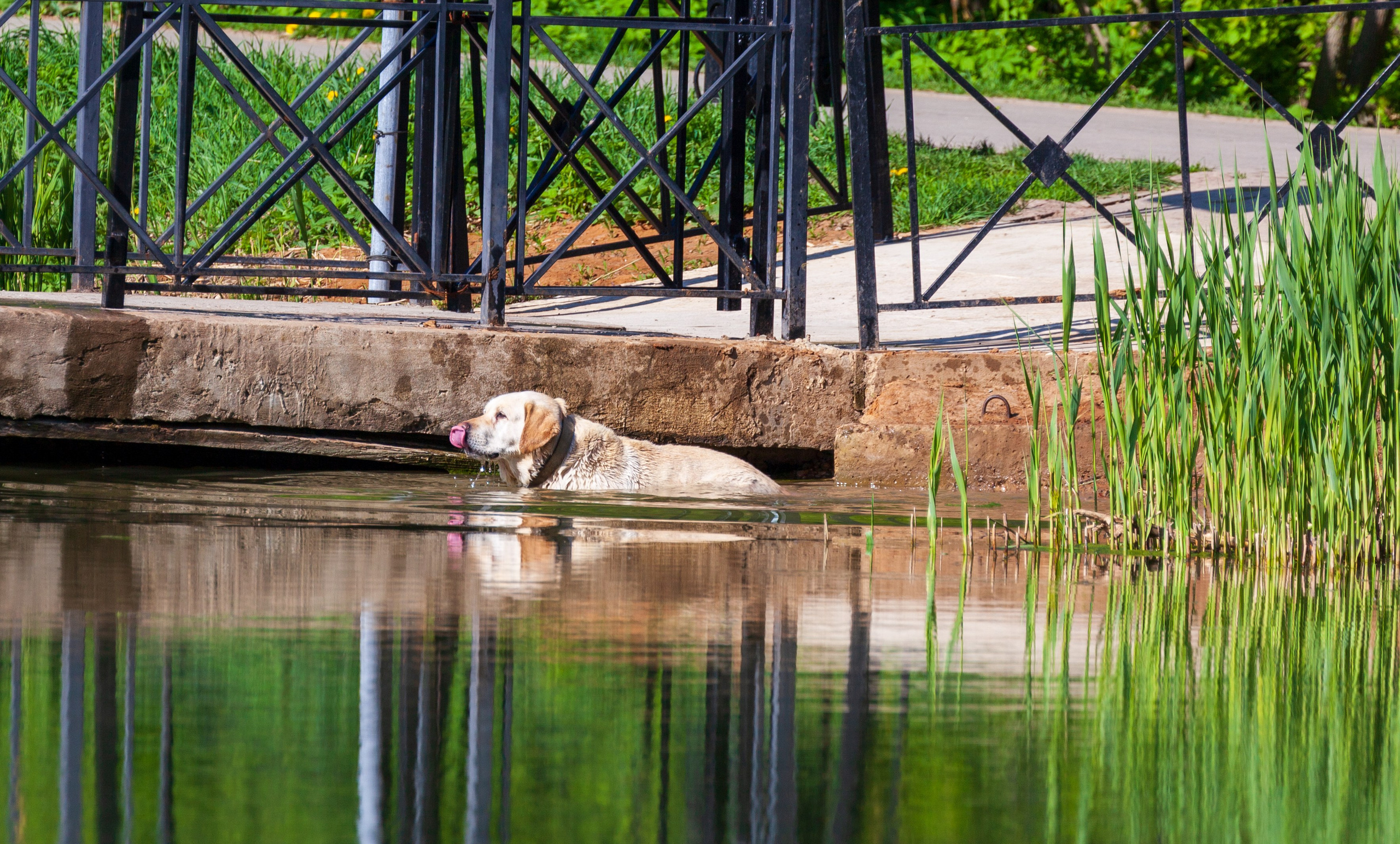 Тропинки детства. Фотохудожник Артём Парамонов