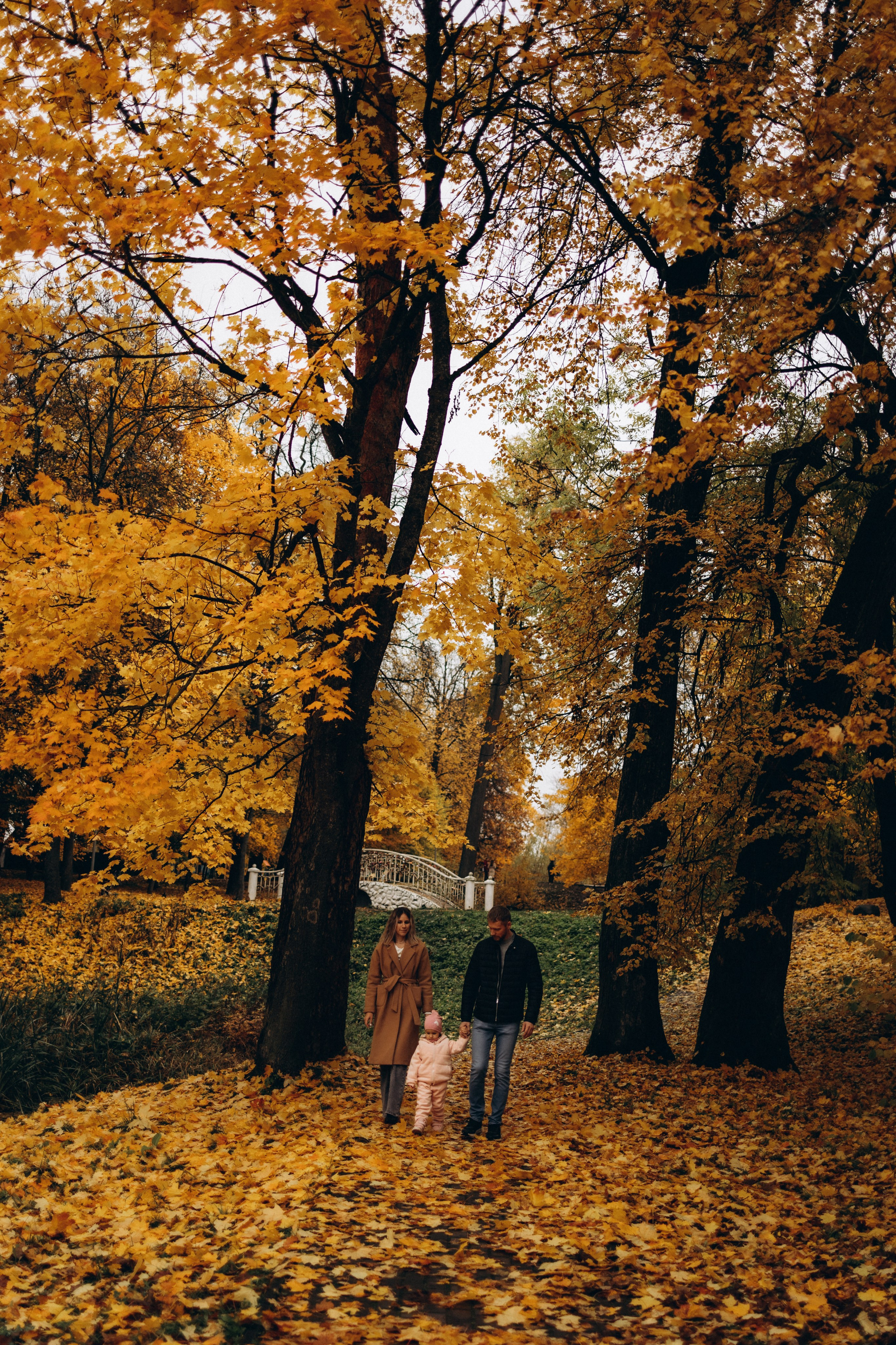 Осенняя семейная фотосъемка (11.10.2025 г.) г. Обнинск (Калужская обл.). Надежда Стар семейный и церковный фотограф в Жукове и Калужской области