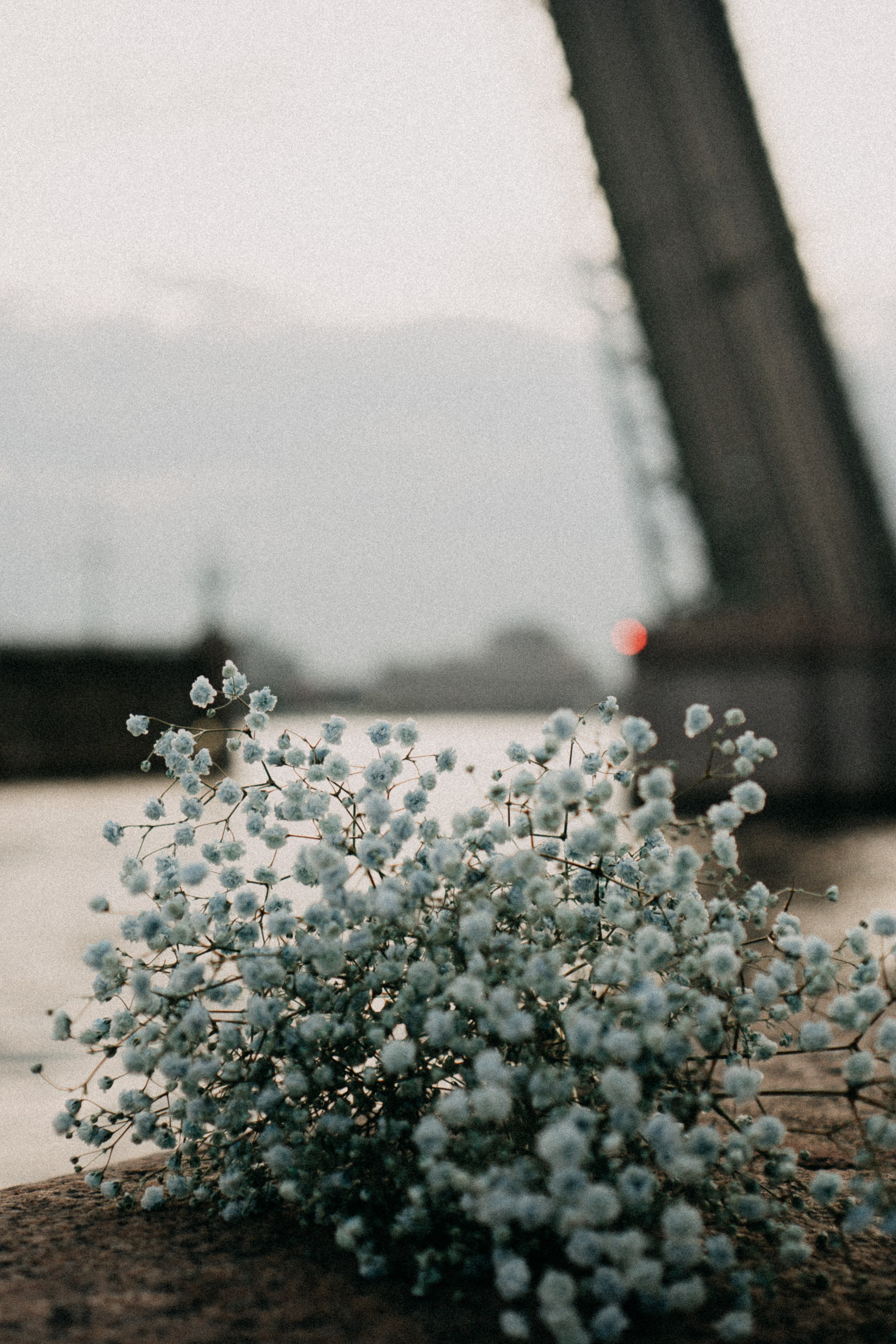 Рассветная. Профессиональный фотограф, Санкт-Петербург — Виктория Богомолова