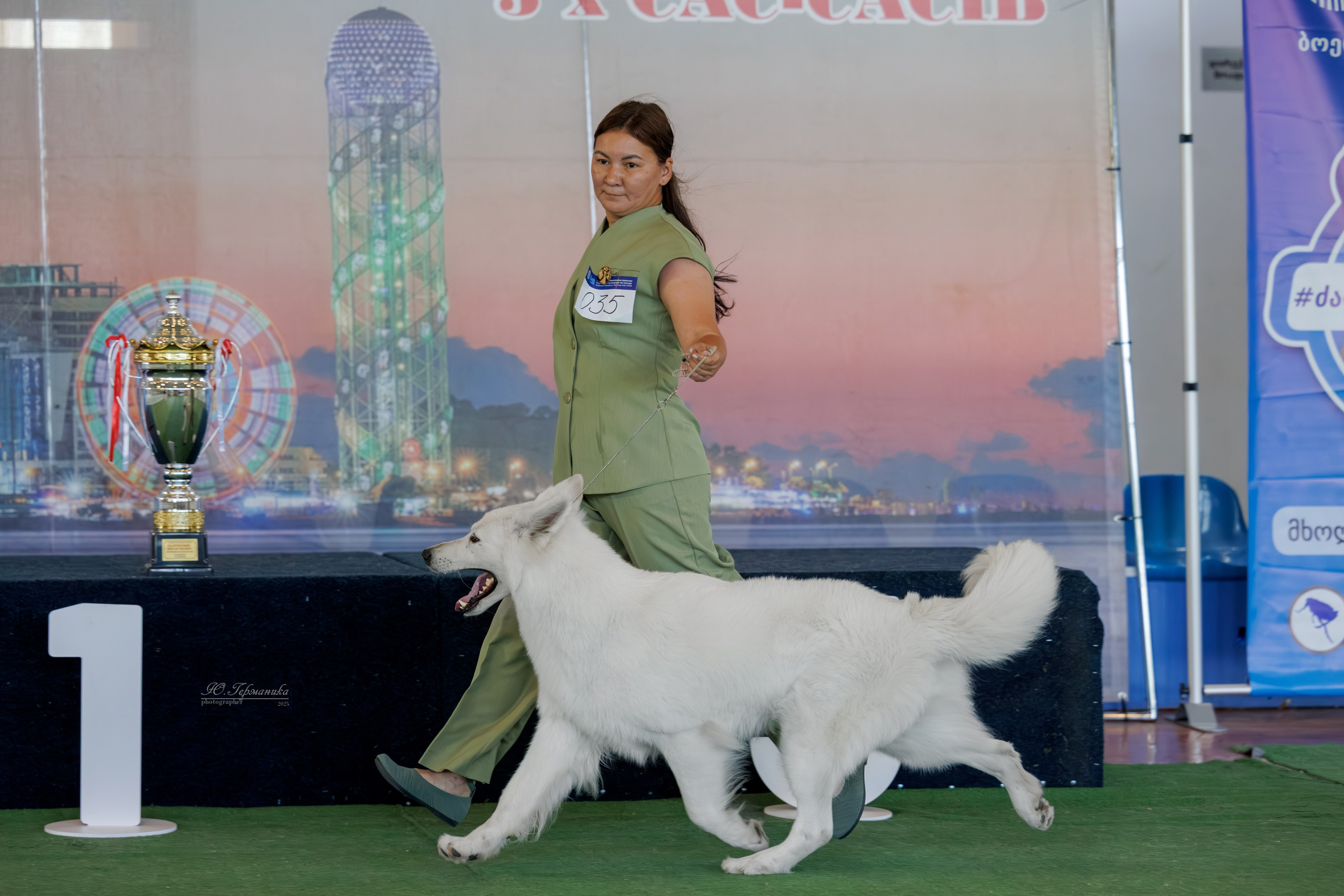 Батуми 3хCACIB 27-29.06.2025. Фотограф-анималист Юлия Германика