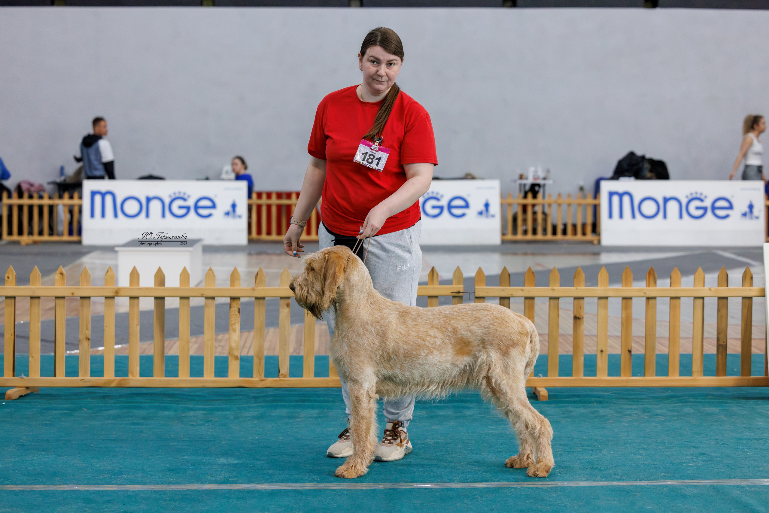 Ереван 2х CACIB 29-30.04.2025. Фотограф-анималист Юлия Германика