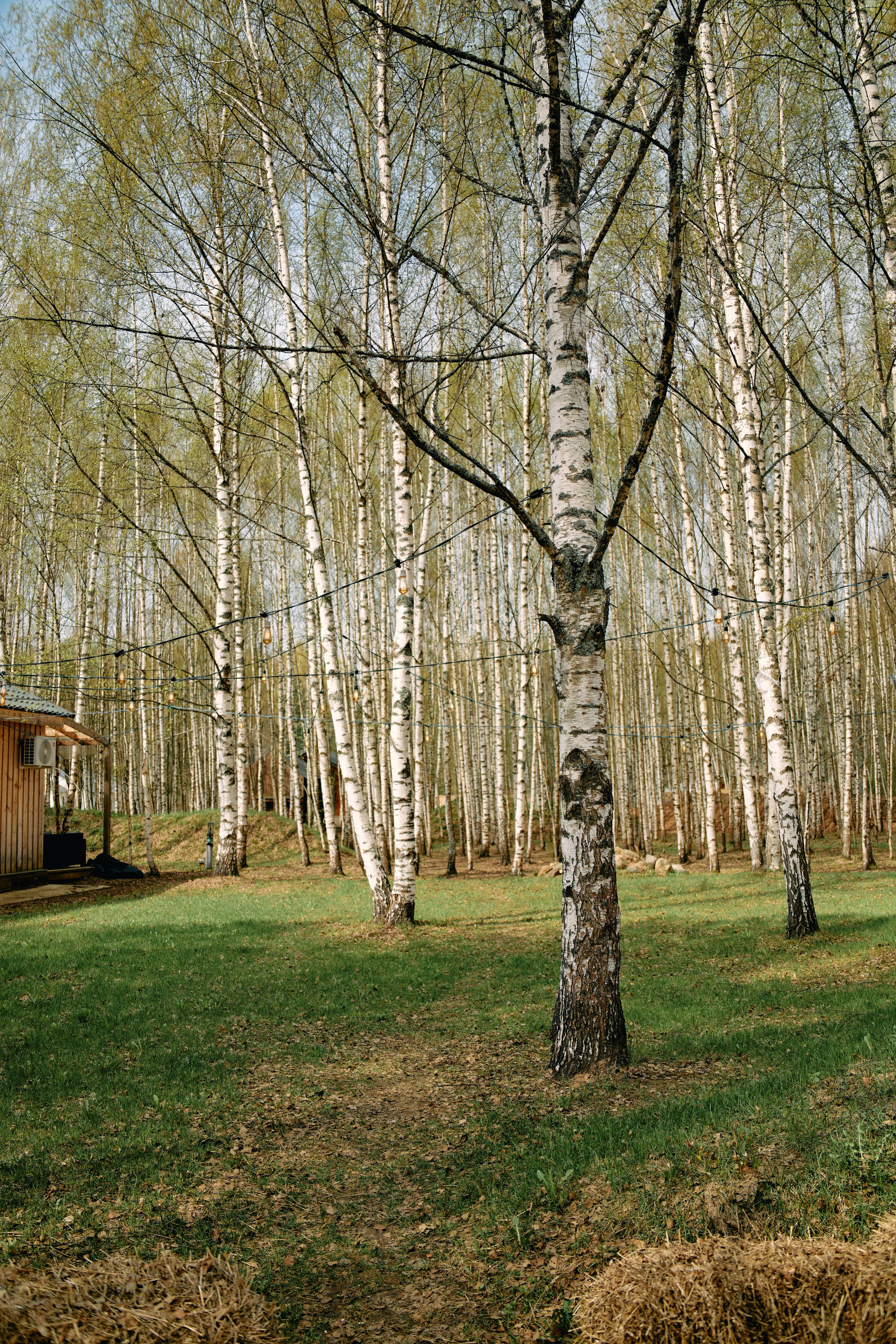 Бутик-отель Поле летом. Профессиональный Фотограф во Владимире, в Москве и в Суздале — Полина Романычева