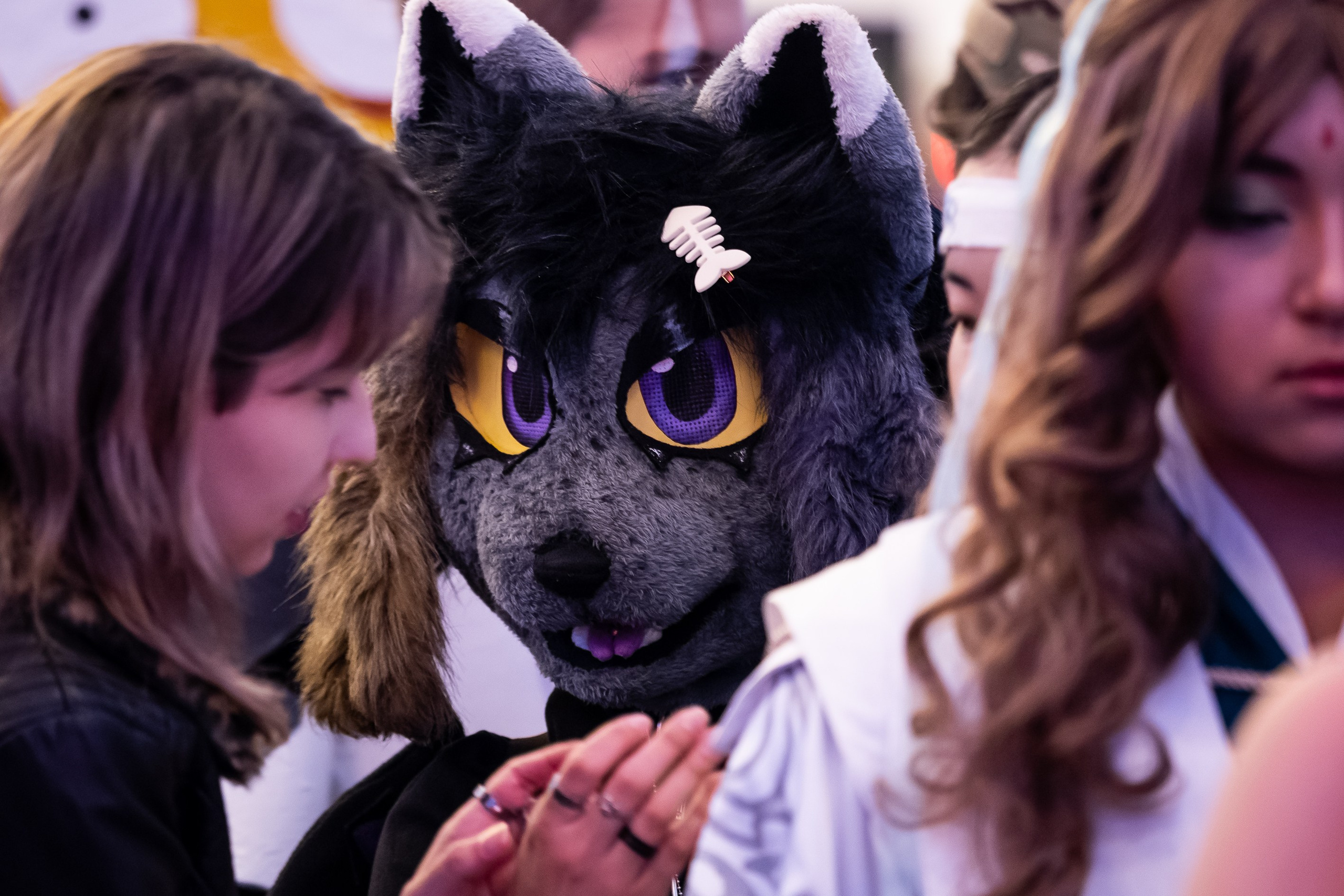 Репортаж с аниме-фестиваля Geektime. Фотограф в Алматы Артемий Матюнин