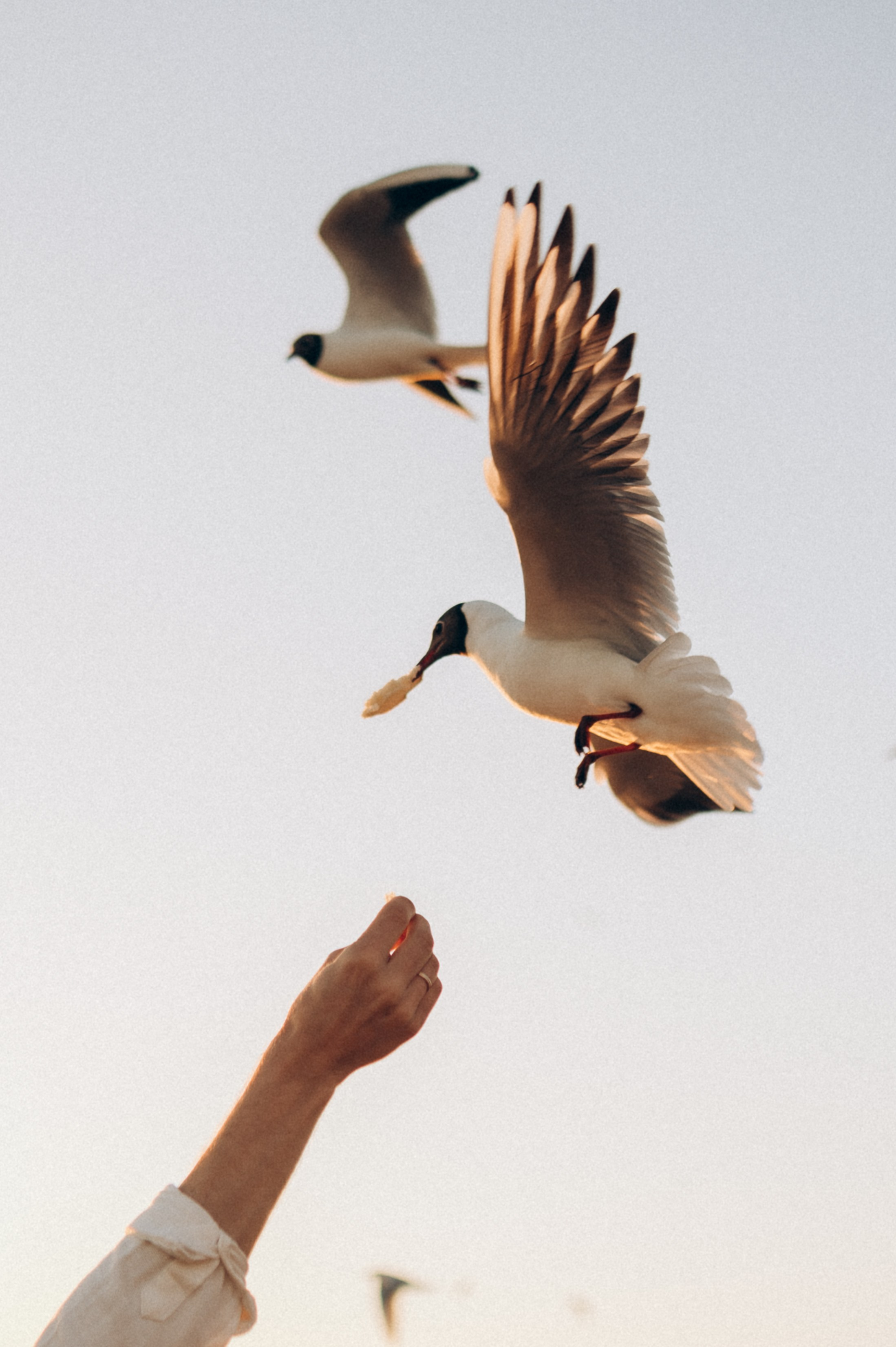 Семейная на заливе. Фотограф ПИТЕР СПБ Надежда Баранова