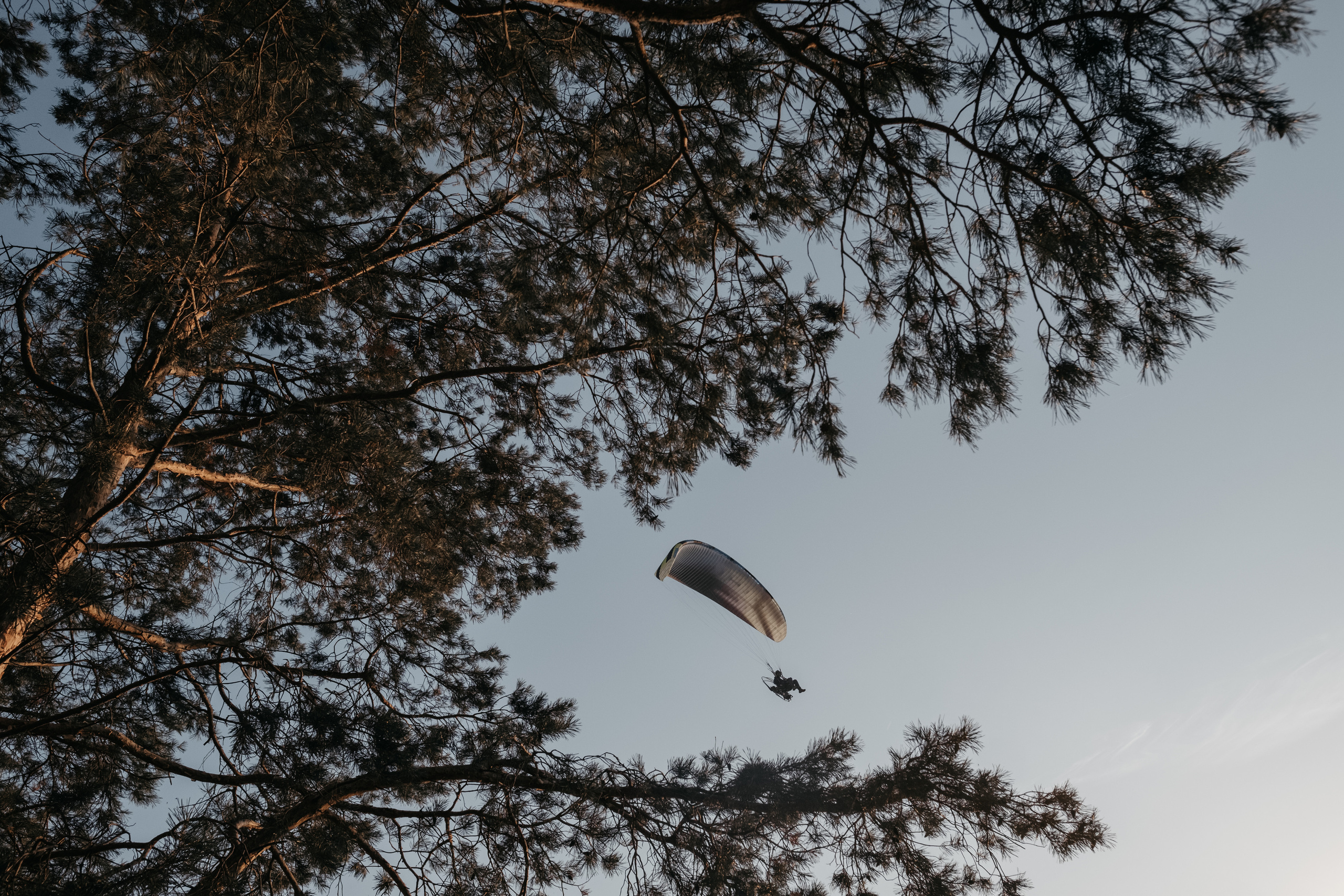 Патина и Михаил. Свадебный и семейный фотограф в Ульяновске Анастасия Мышенкова