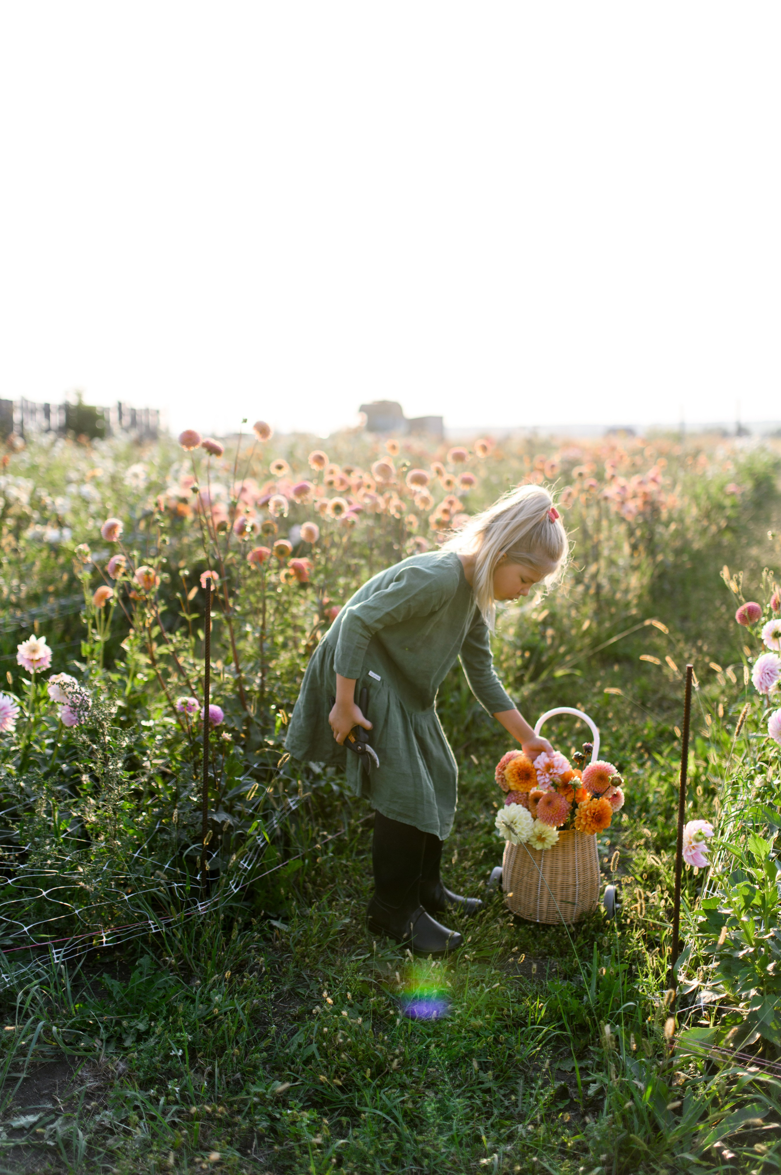 Лето на ферме. Свадебный и портретный фотограф в Санкт-Петербурге Ирина Келина