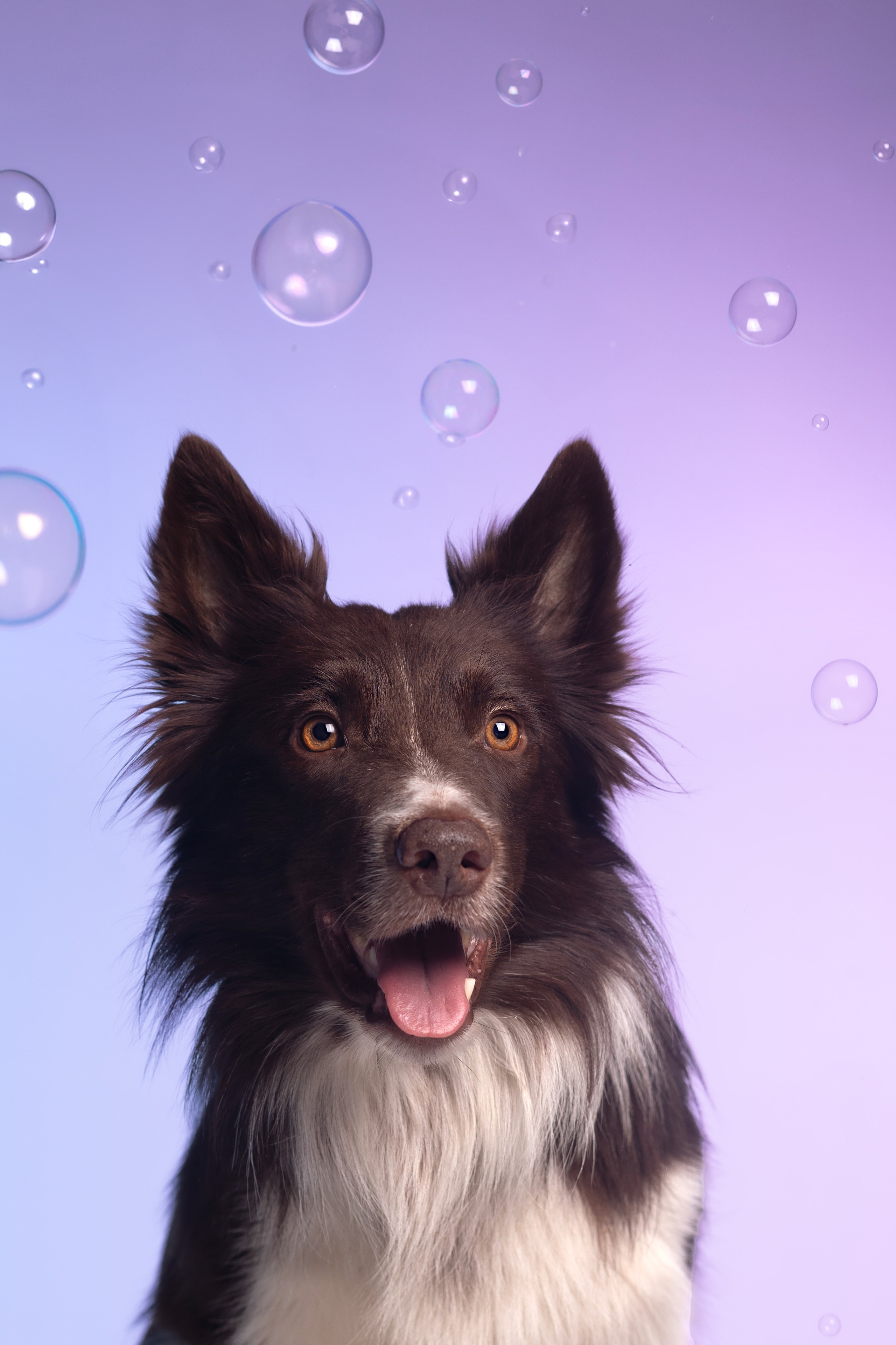 Неон. Фотограф анималист Кристина Карпова, Москва