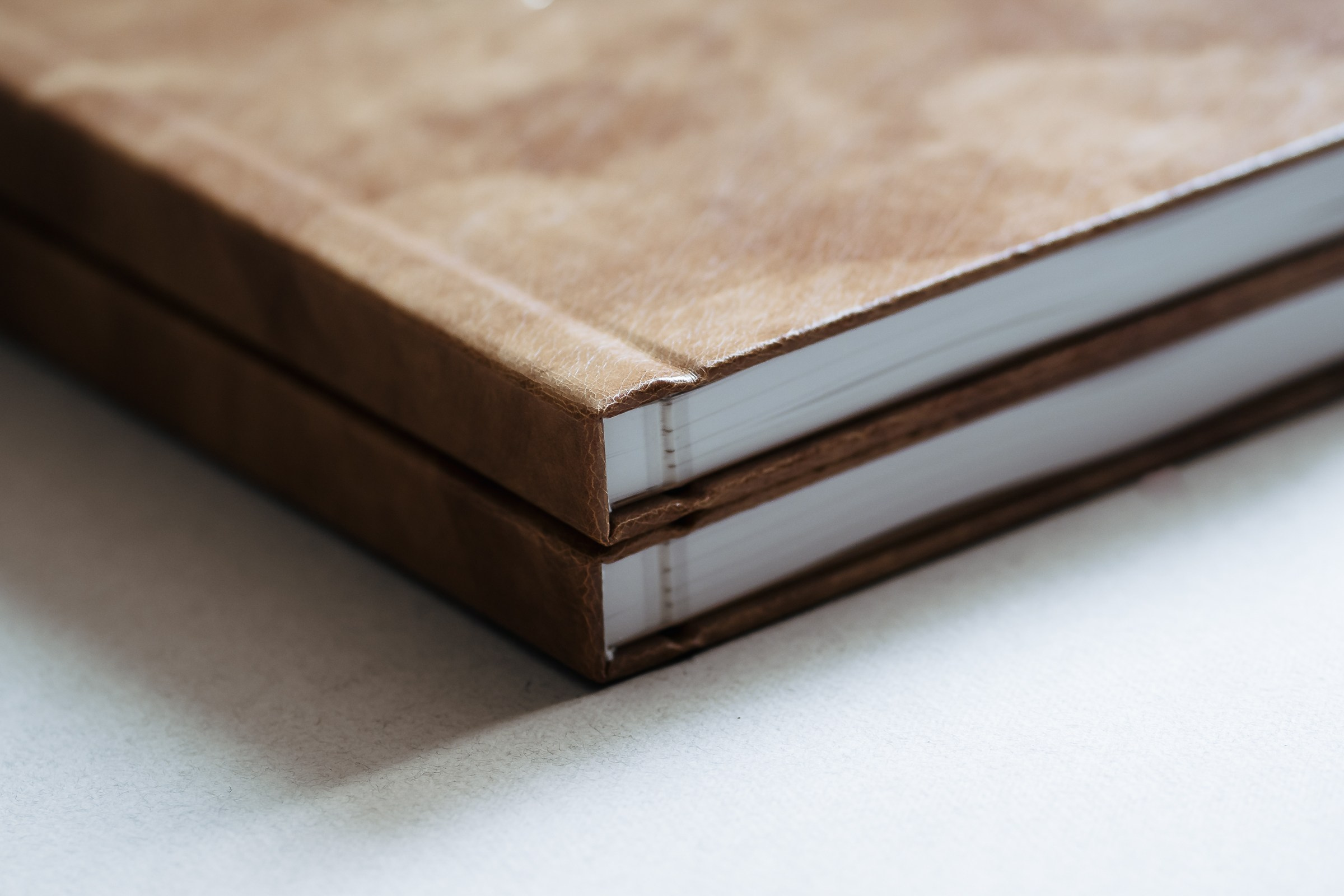 Книга рода. Семейный и детский фотограф в Омск Пугачева Елена