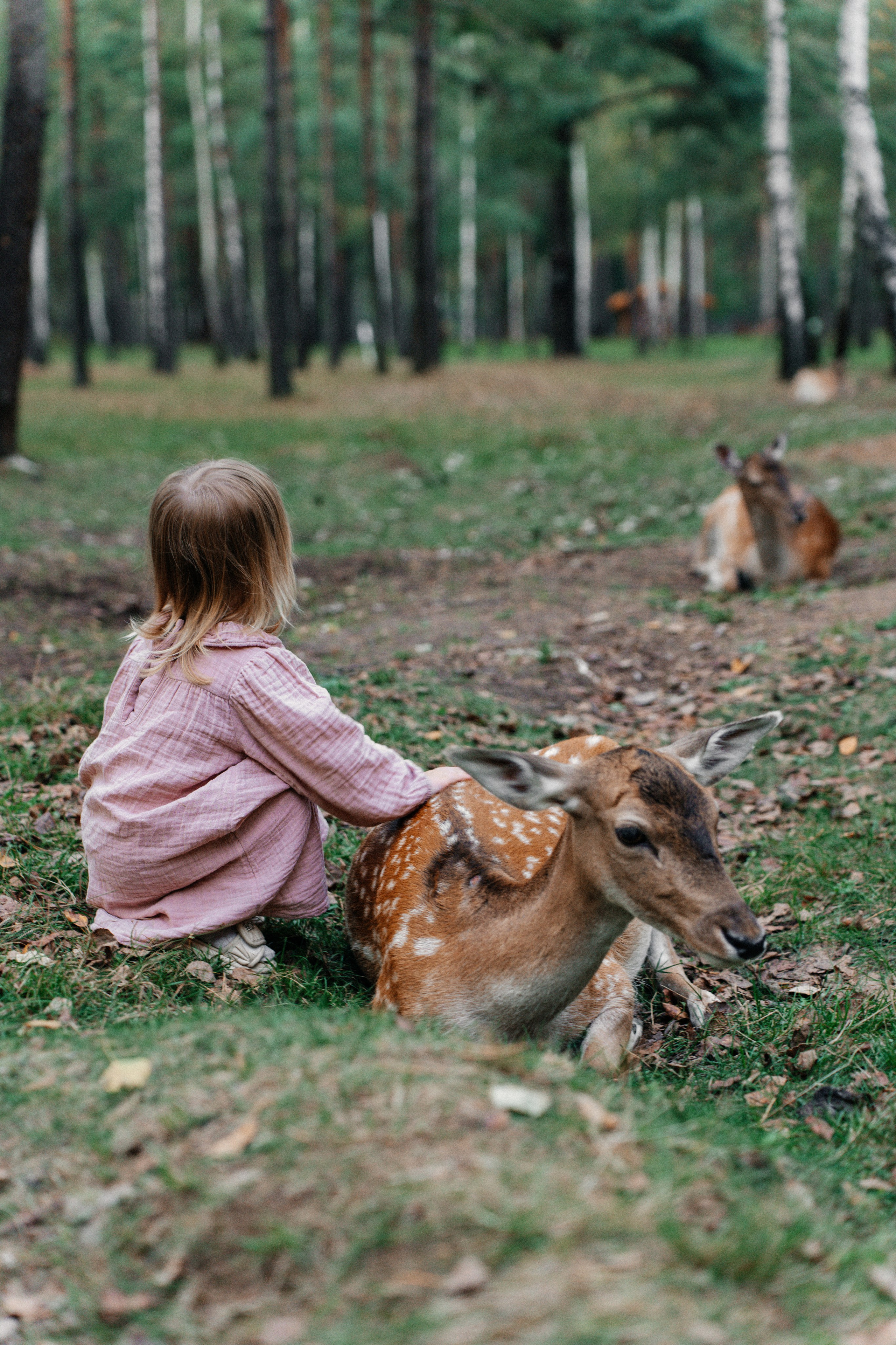 Диприз — в мире диких животных. Ваш семейный фотограф в Минске — Вика Трегубова