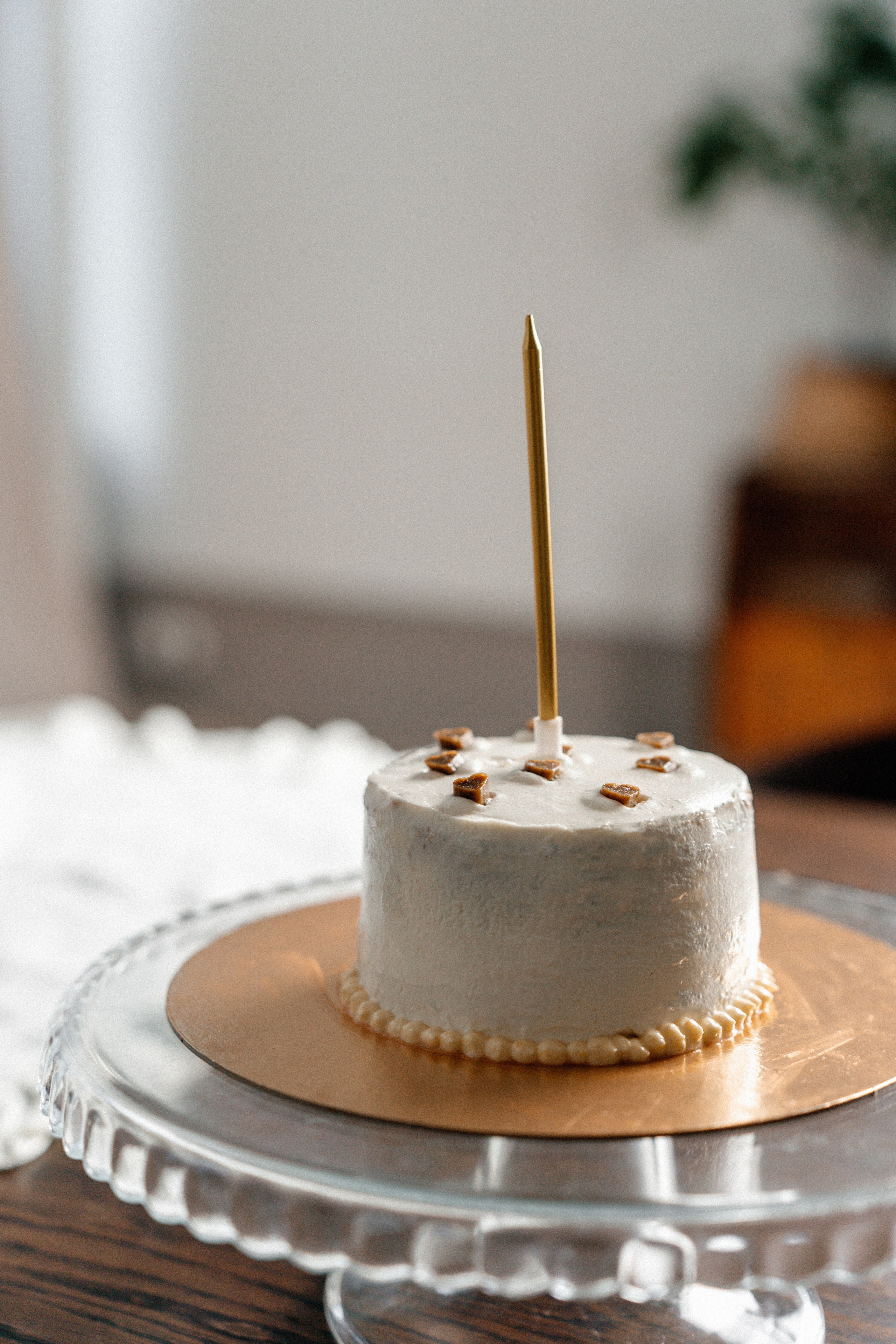 Красота хвостатых глазами хозяйки. Ваш семейный фотограф в Минске — Вика Трегубова