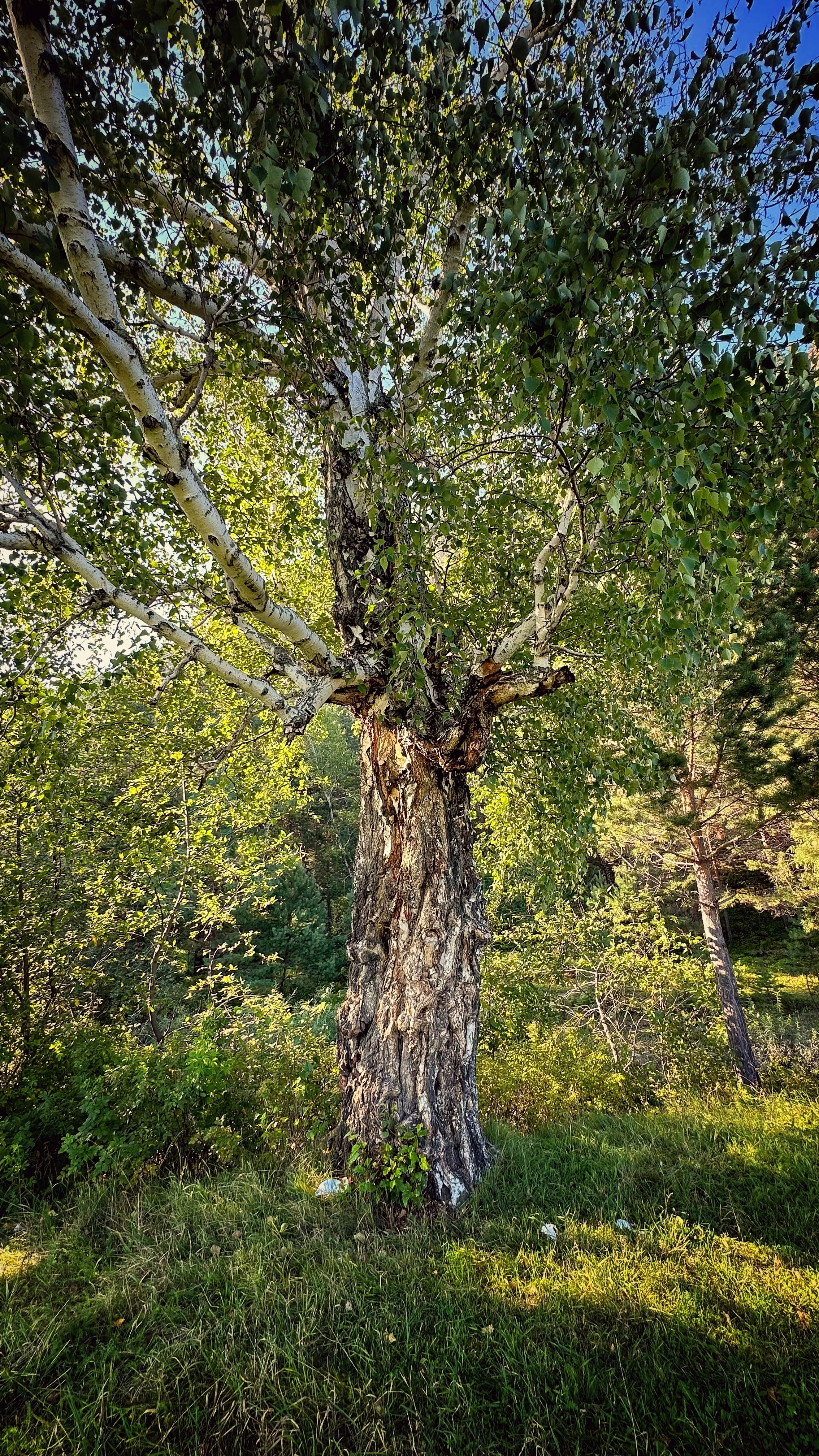 2024. Тащилин Сергей. Фотографии. Жизнь. Хобби