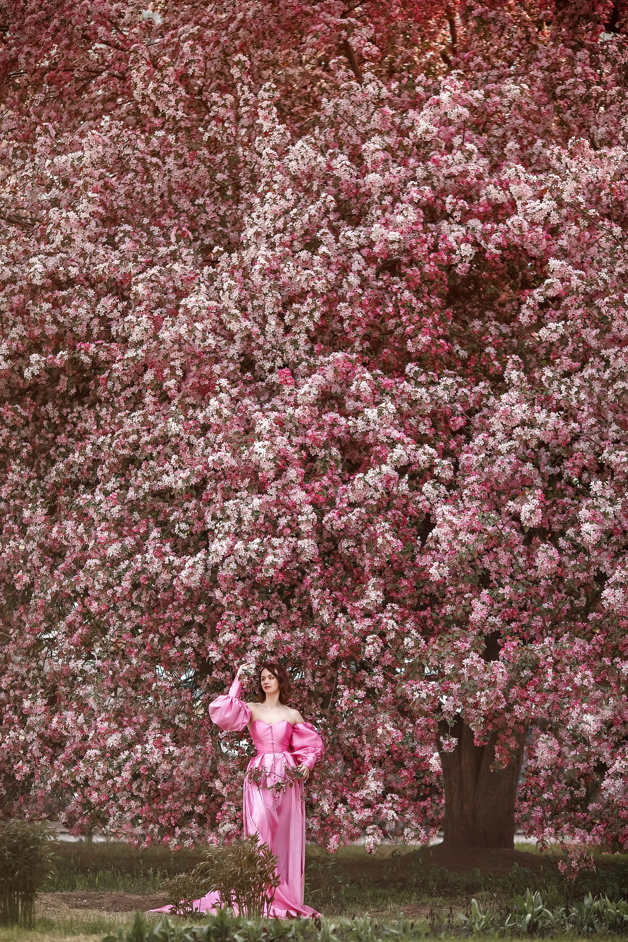 Цветение. Сказочный фотограф фотопроекты фототуры в Новосибирске и на Алтае