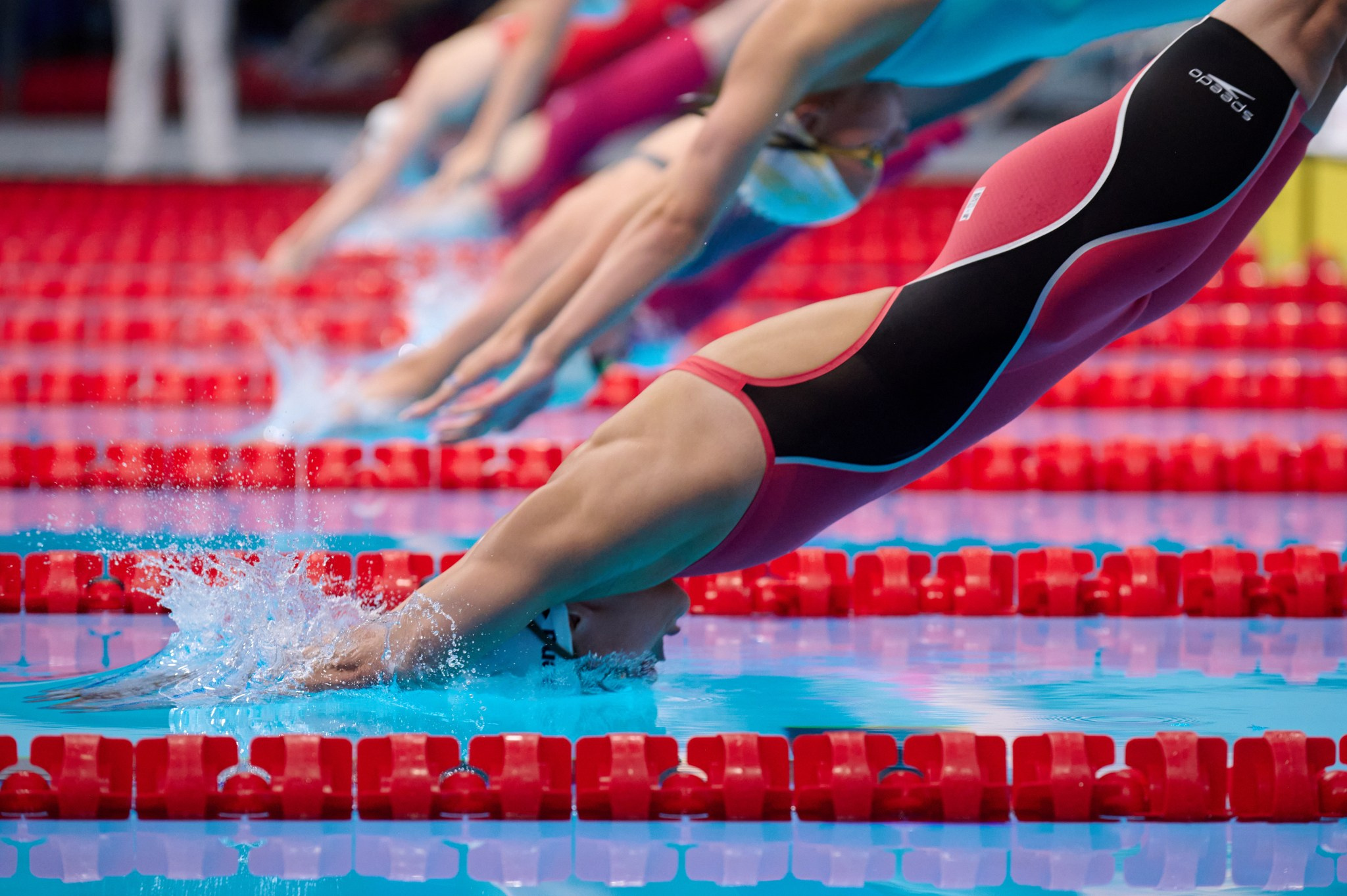 Кубок России по плаванию 2024 г. Екатеринбург. Мезенцев Евгений фотограф