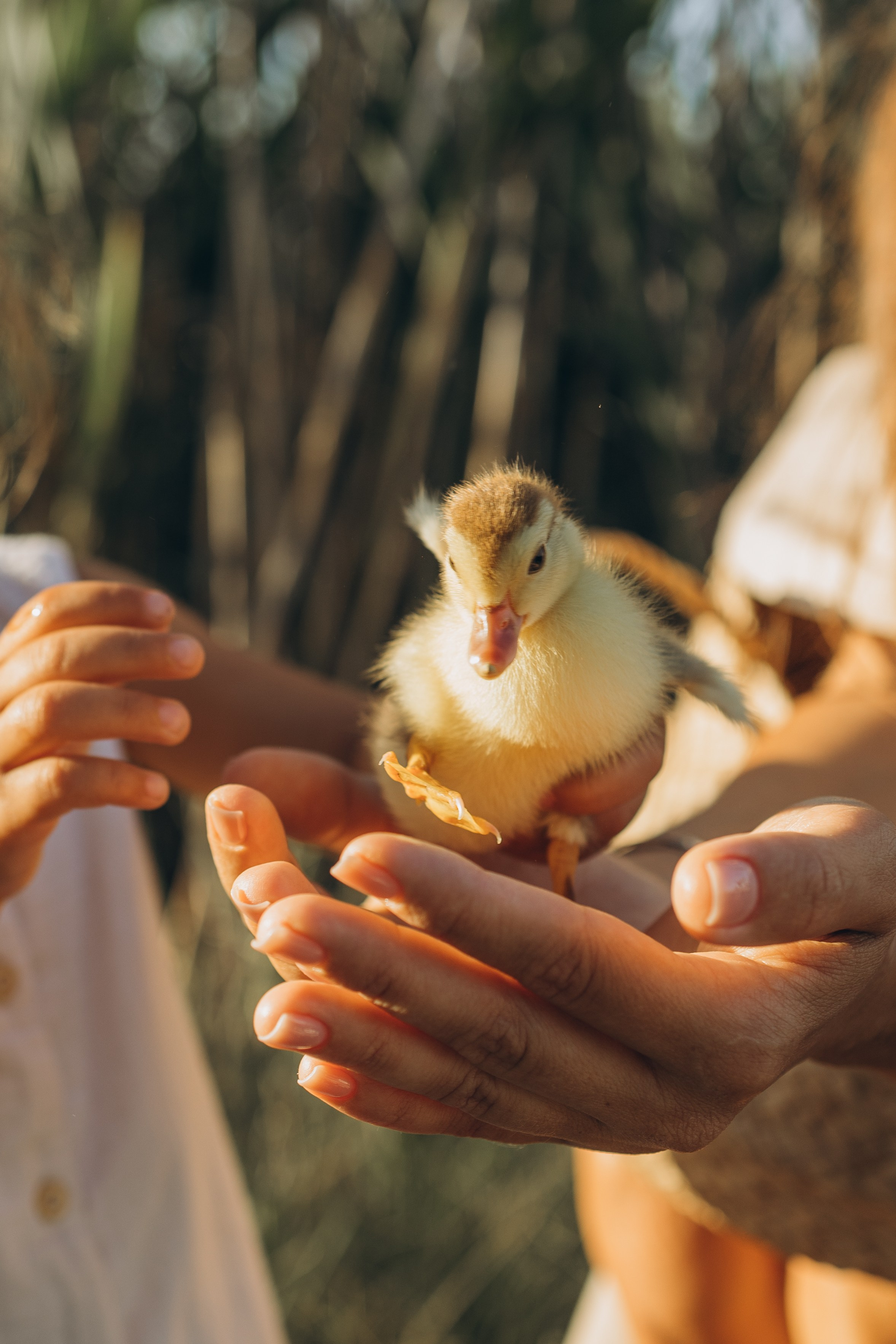 Алина и Алиса. Семейный фотограф в Москве Виктория Ястребинская