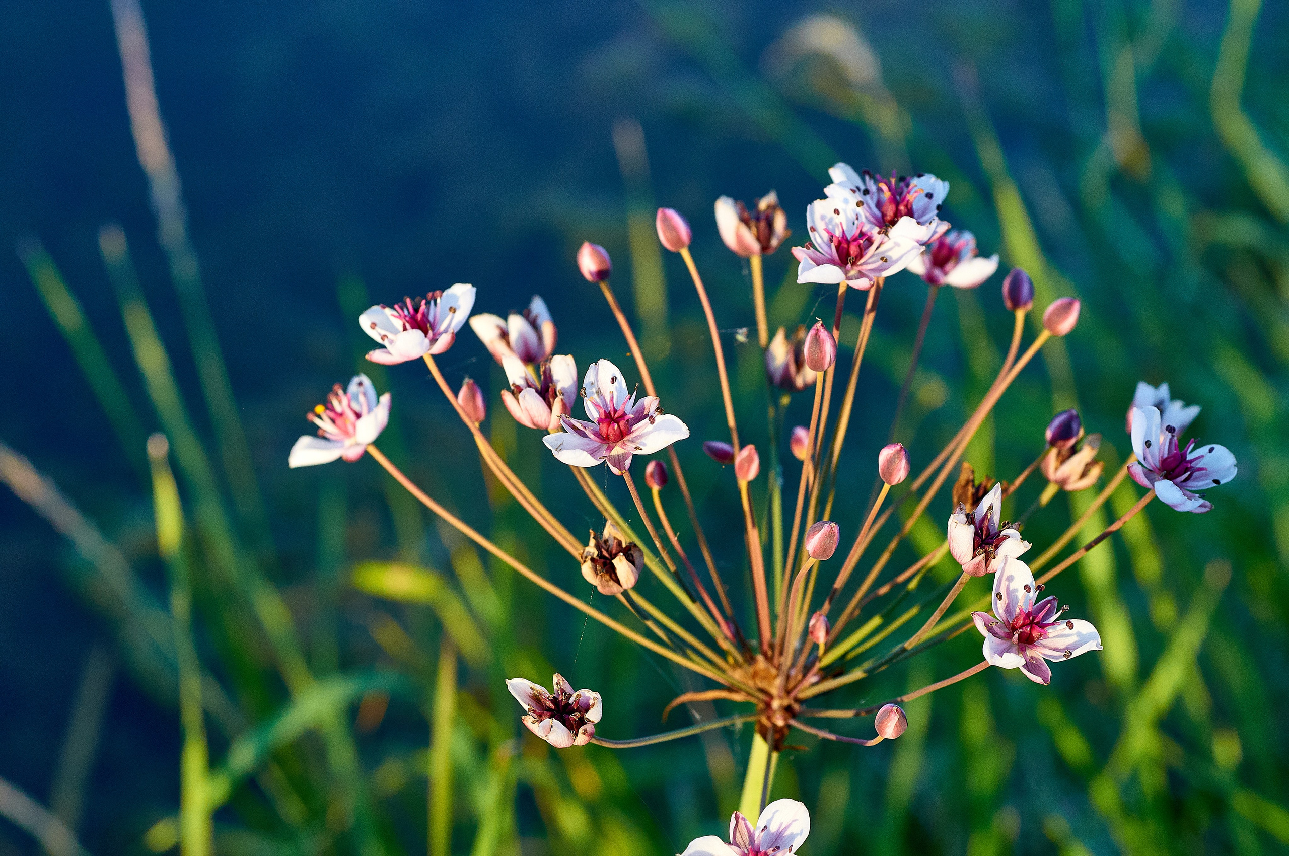 Искусство пейзажа: гармония природы в фотографиях. Координаты красоты — география в фокусе