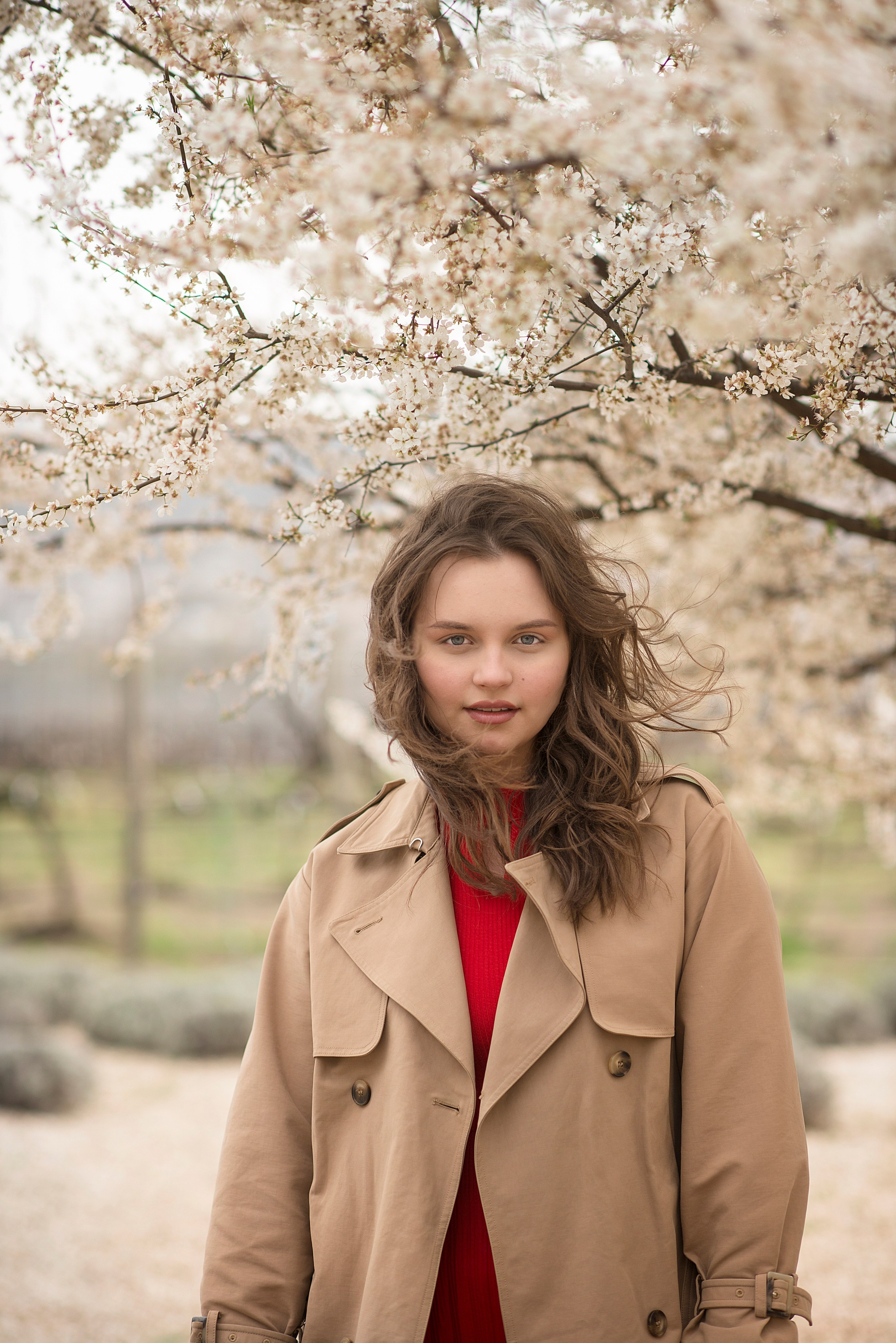 В цветущем миндале. Семейный и детский фотограф в Севастополе. Семейный фотограф в Ялте