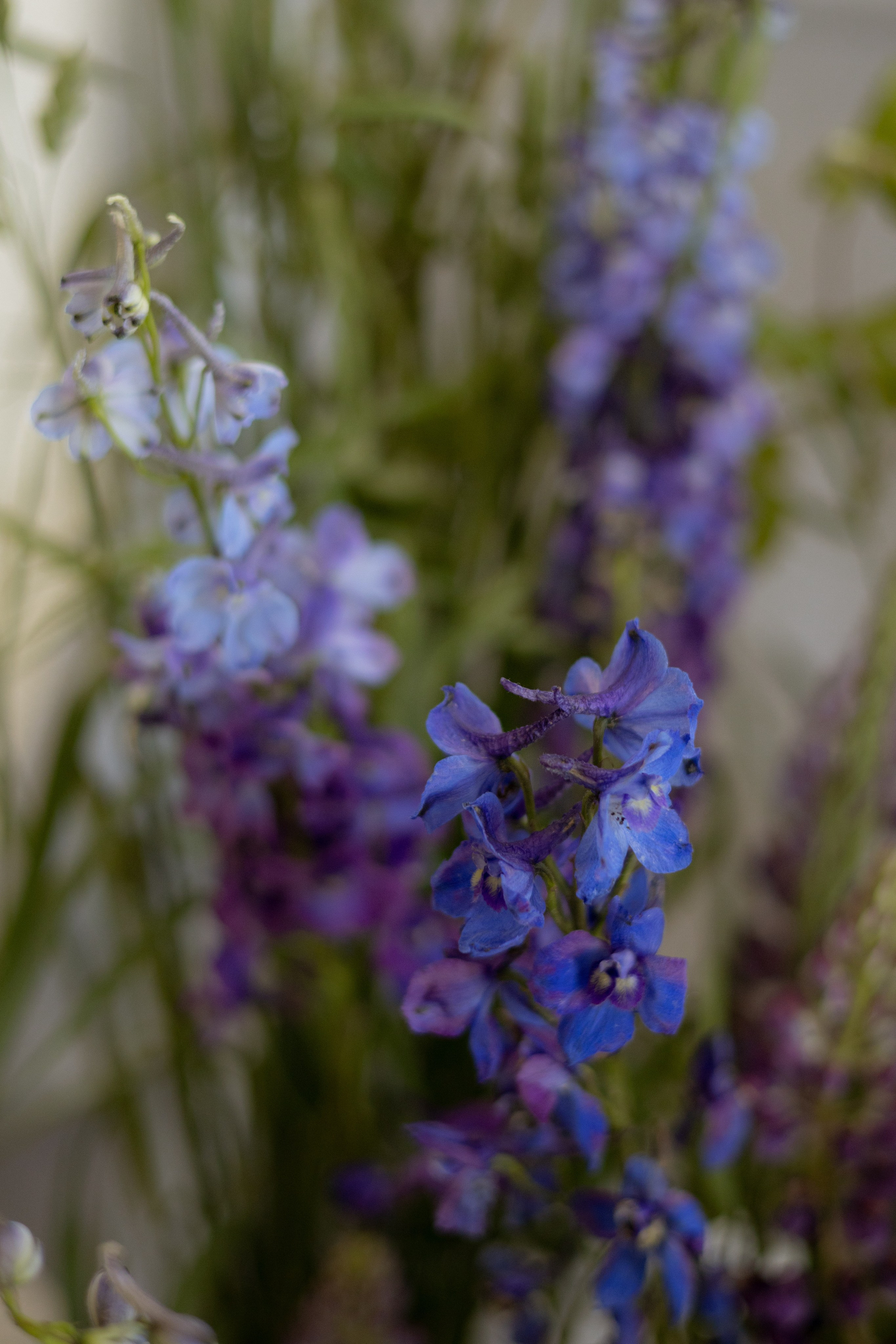 «Московское небо». Оформление свадеб, декор свадеб Вера Маркова, Москва