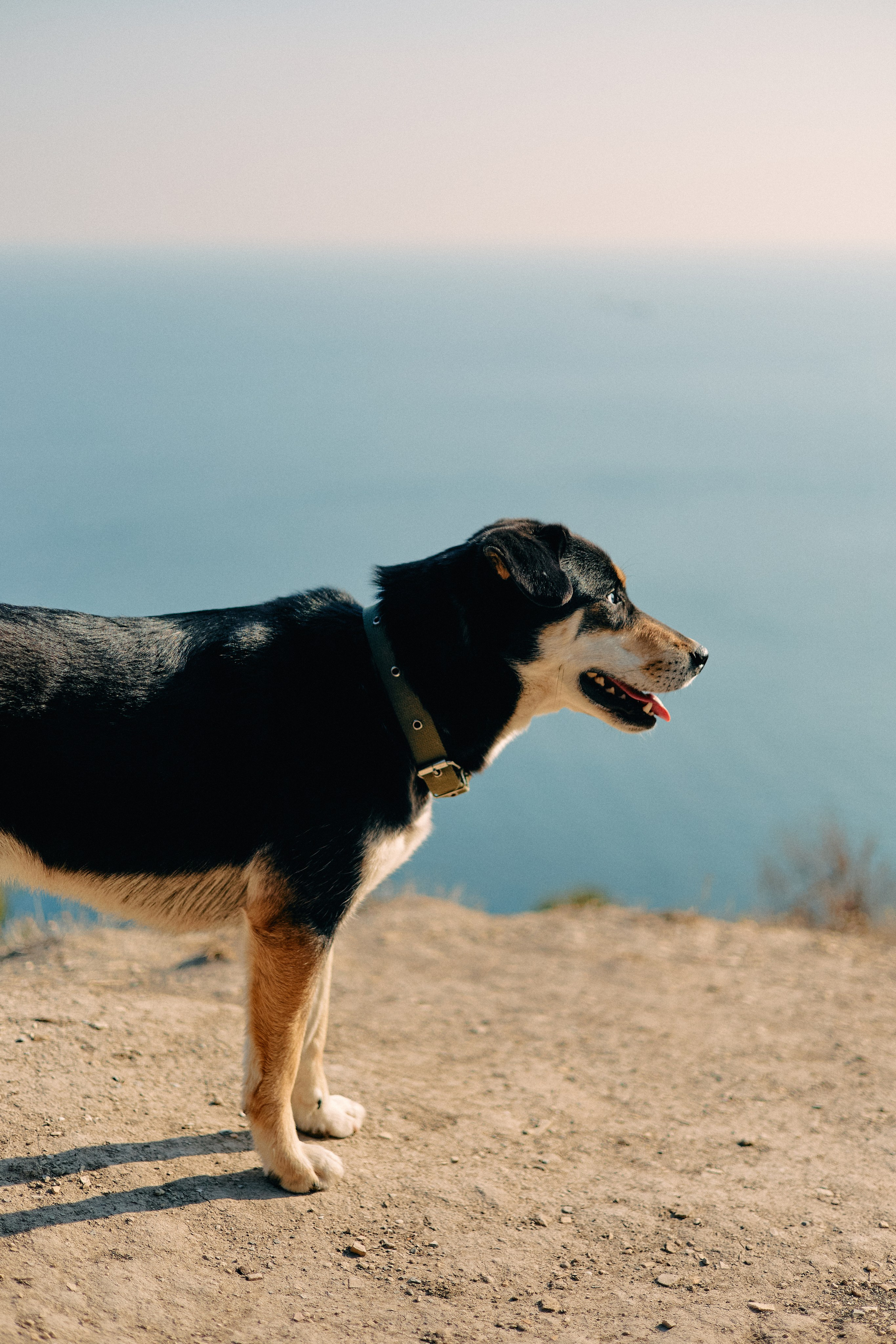 Юг России. Профессиональный Фотограф во Владимире, в Москве и в Суздале — Полина Романычева