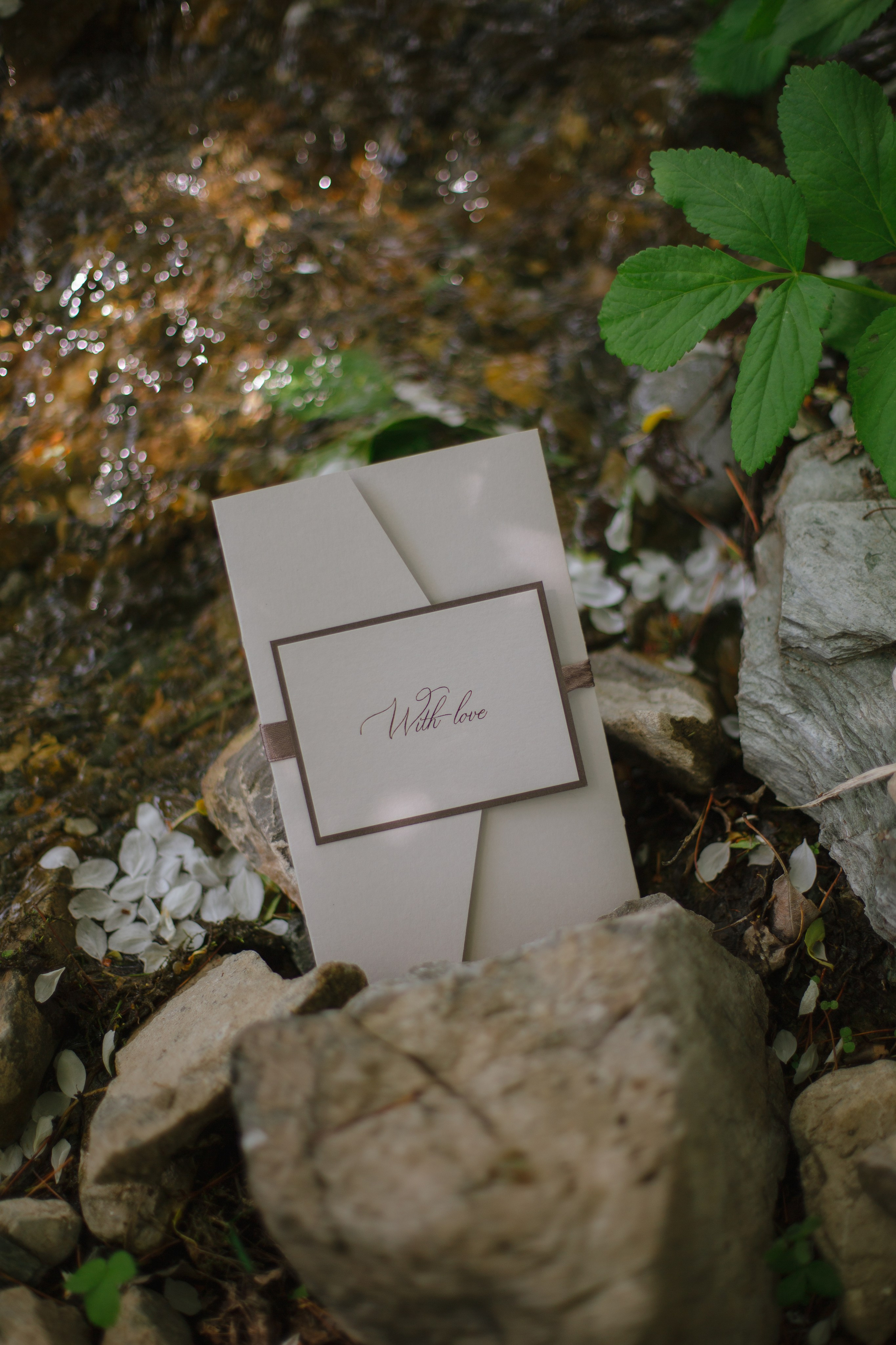 Контент для отелей. Фотограф Горный Алтай