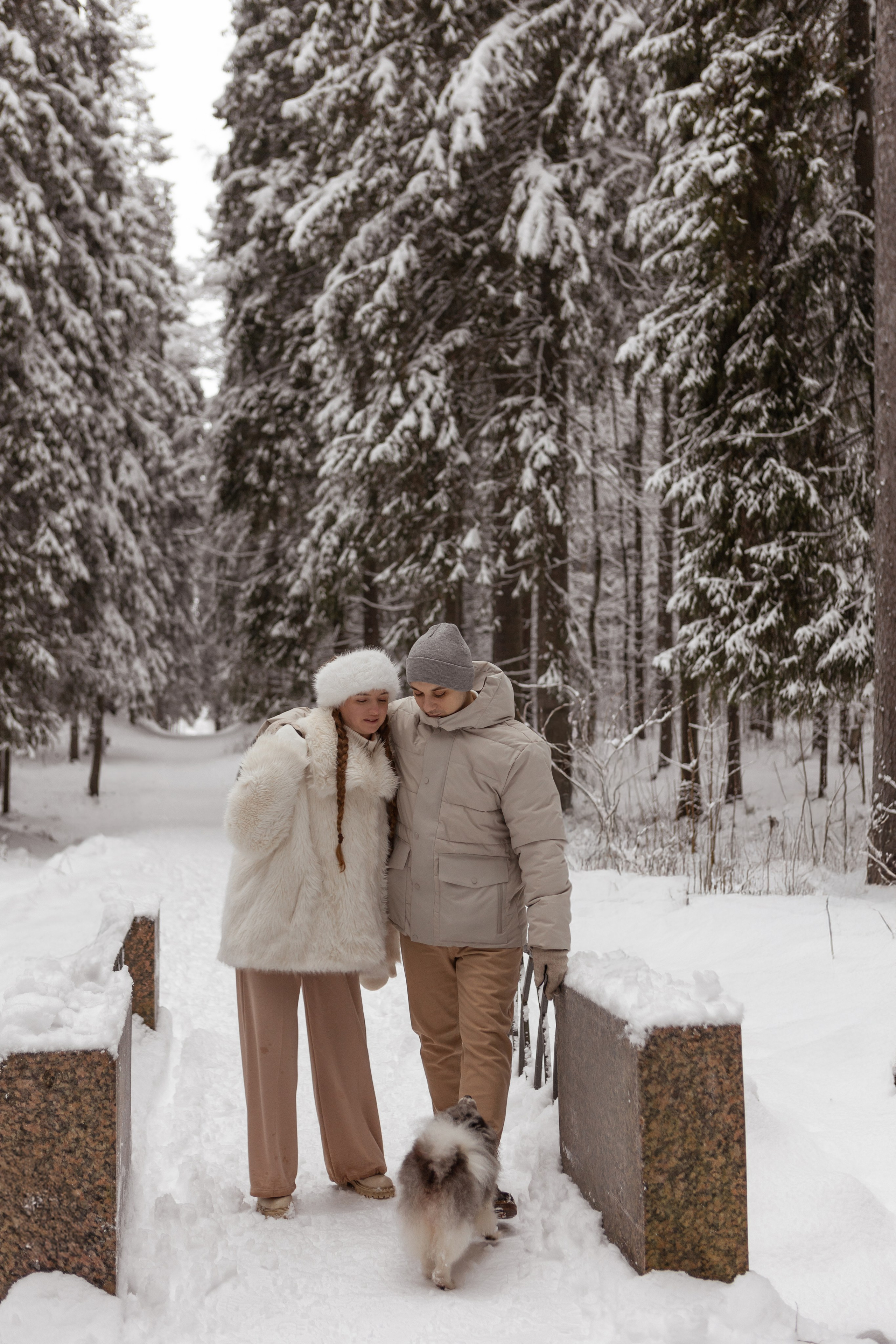 Новогодняя фотосессия с собачками в шуваловском парке. Свадебный фотограф в СПБ | Санкт-Петербурге Анастасия Рахимгулова