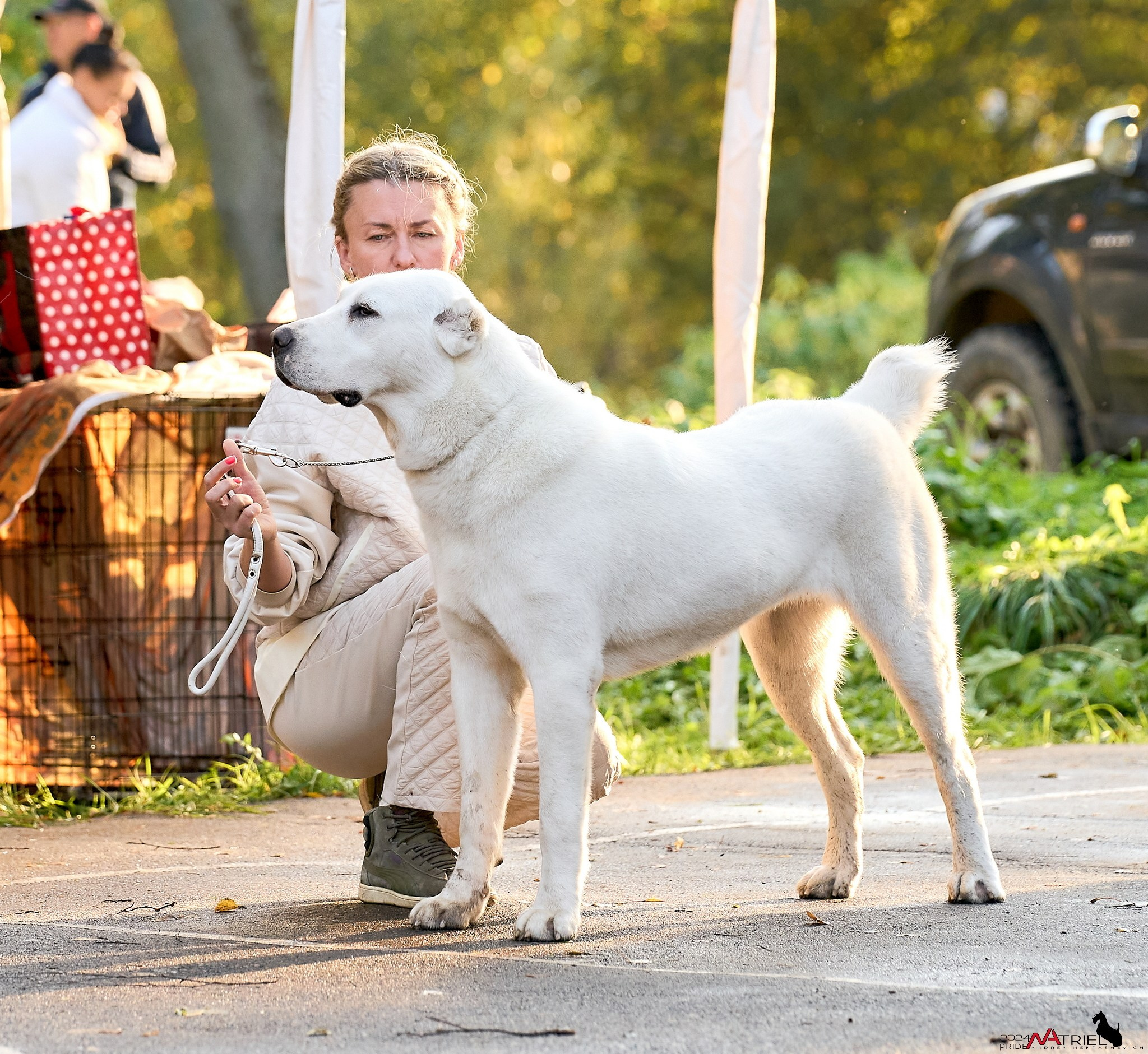 Съемка на выставке САО в Александров
