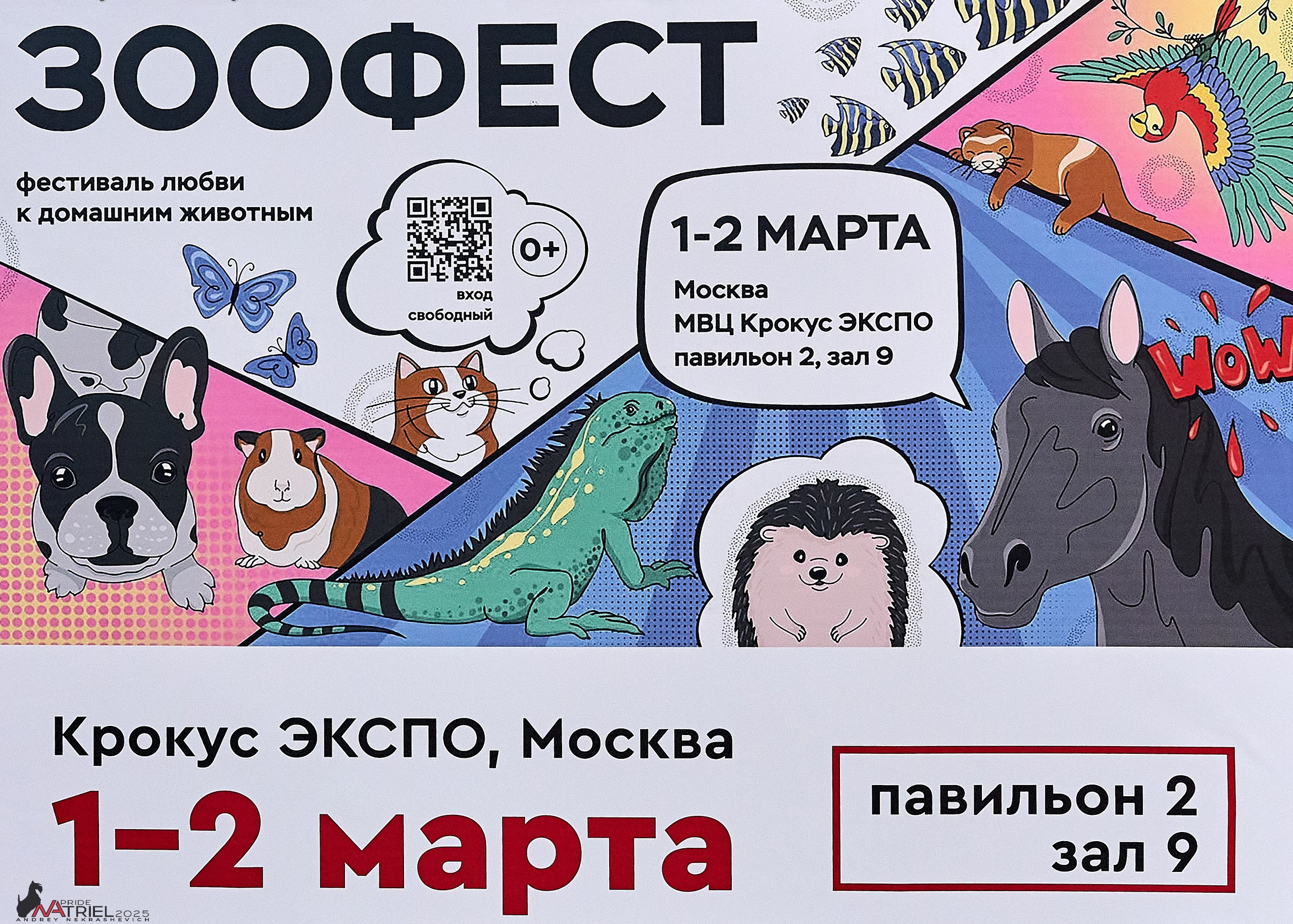 Репортаж с ЗООФЕСТ в Крокусе