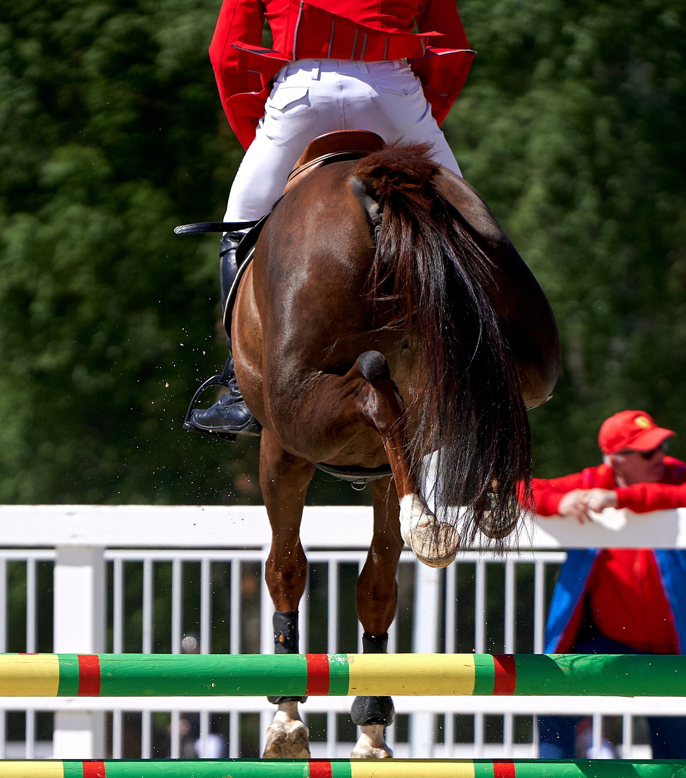 Соревнования на лошадях — галерея NATRIEL